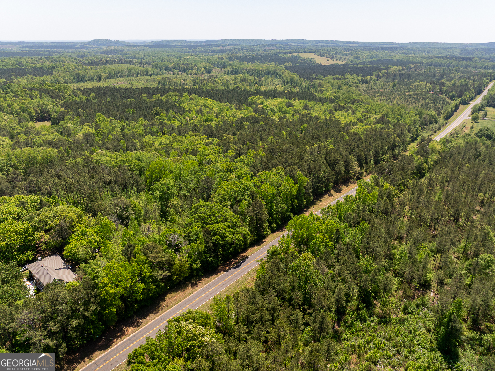 324 Acres Hunsinger Road Shiloh GA 31826