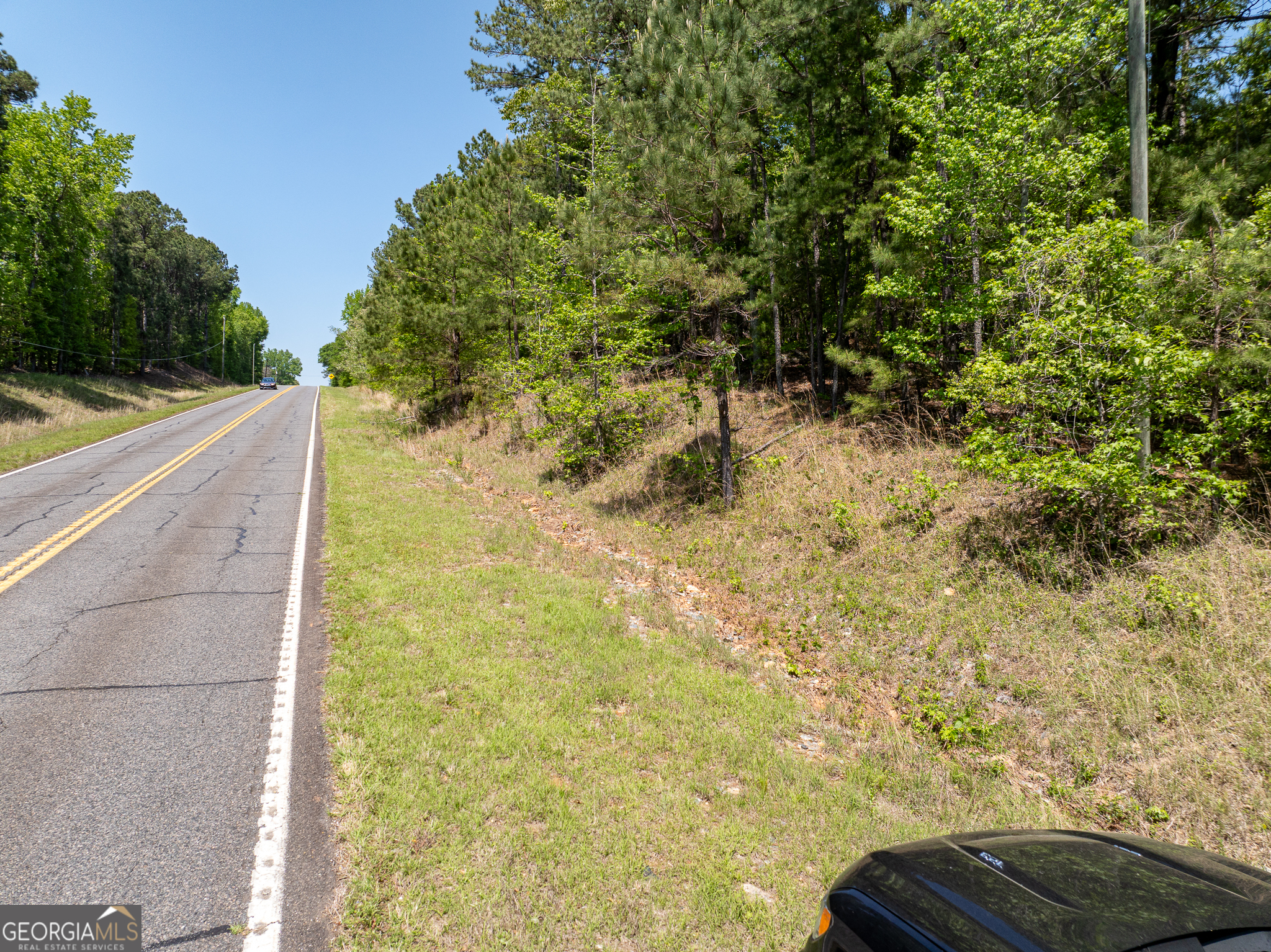 324 Acres Hunsinger Road Shiloh GA 31826
