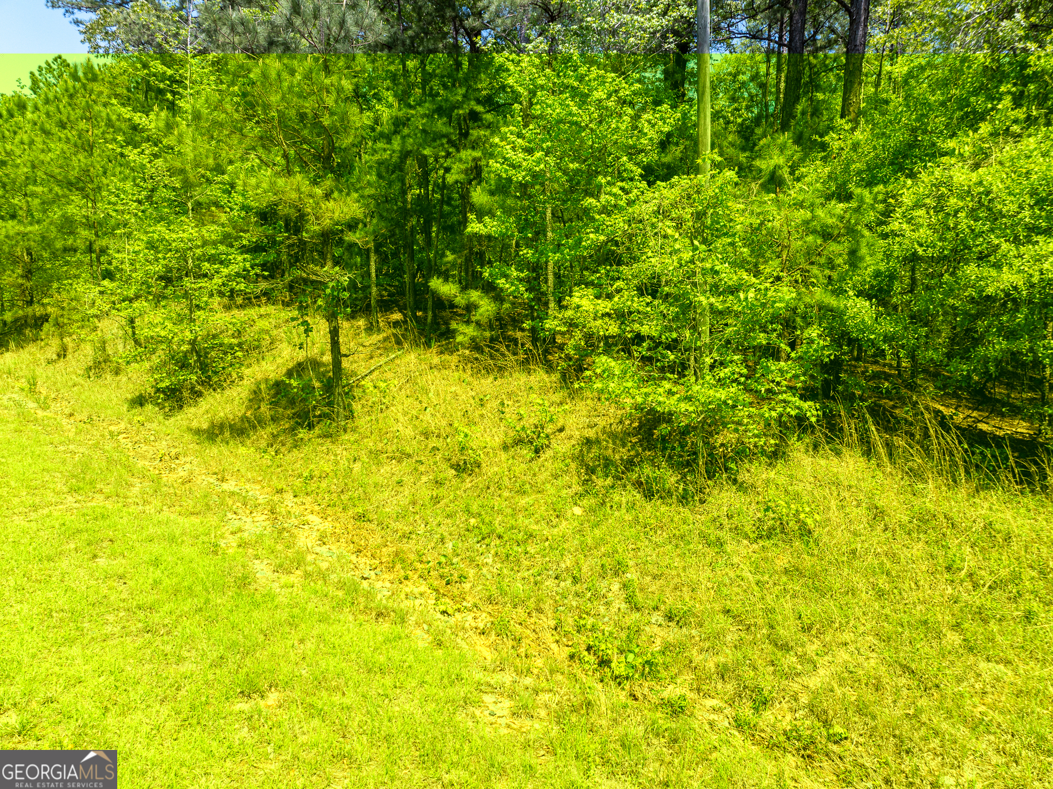 324 Acres Hunsinger Road Shiloh GA 31826