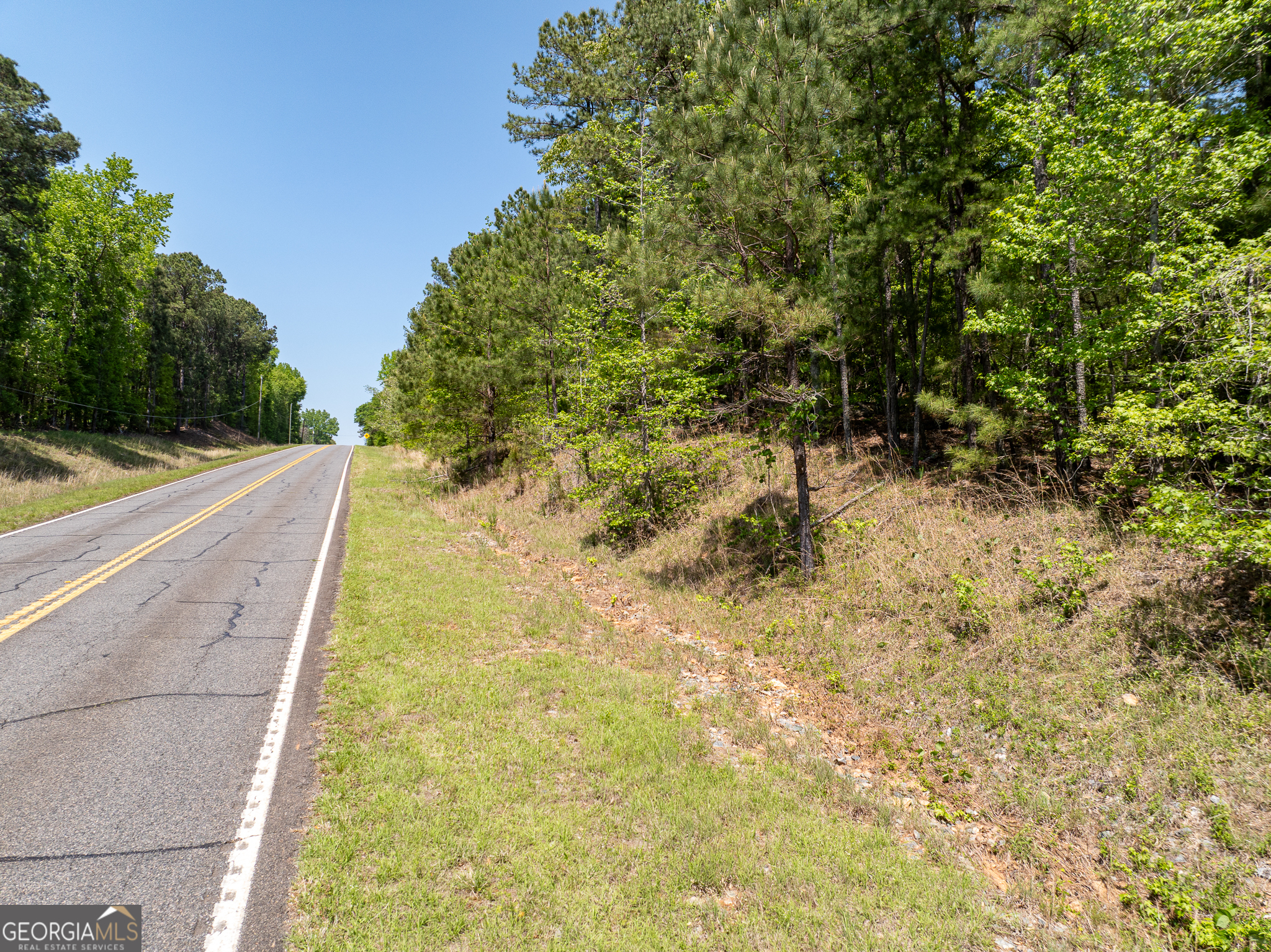 324 Acres Hunsinger Road Shiloh GA 31826