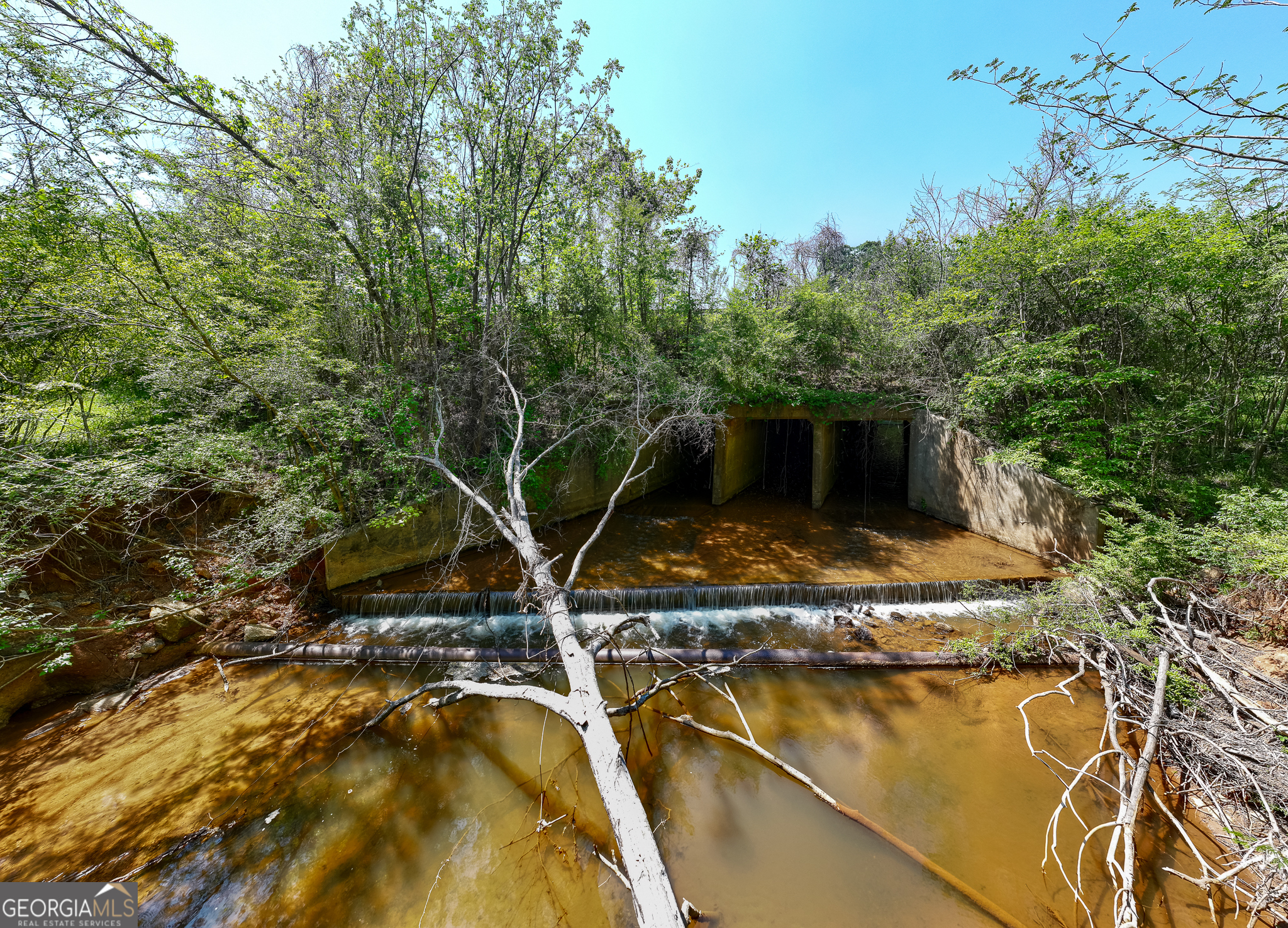 324 Acres Hunsinger Road Shiloh GA 31826