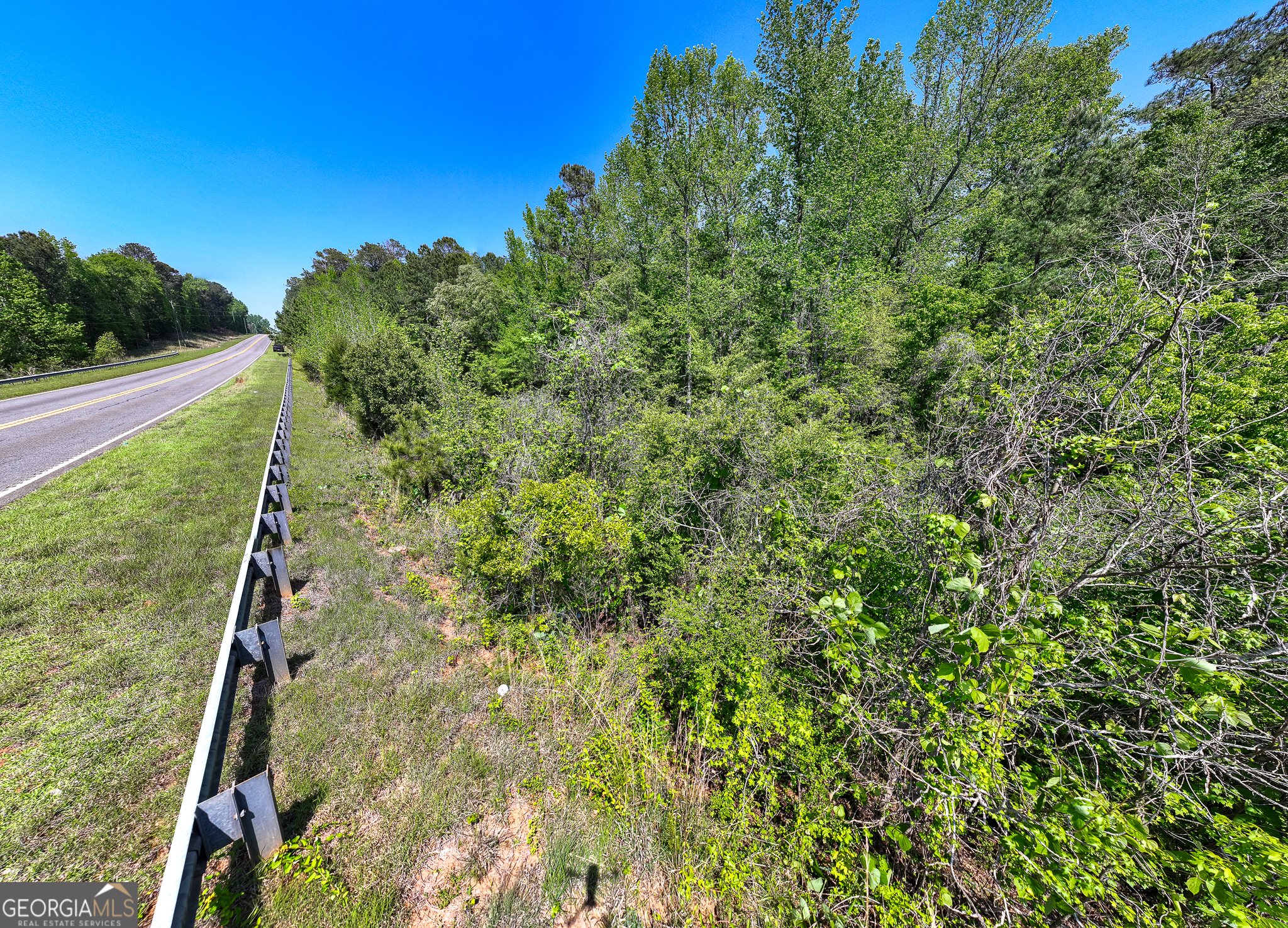 324 Acres Hunsinger Road Shiloh GA 31826
