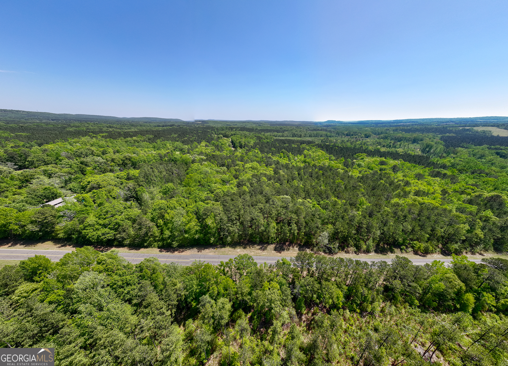 324 Acres Hunsinger Road Shiloh GA 31826