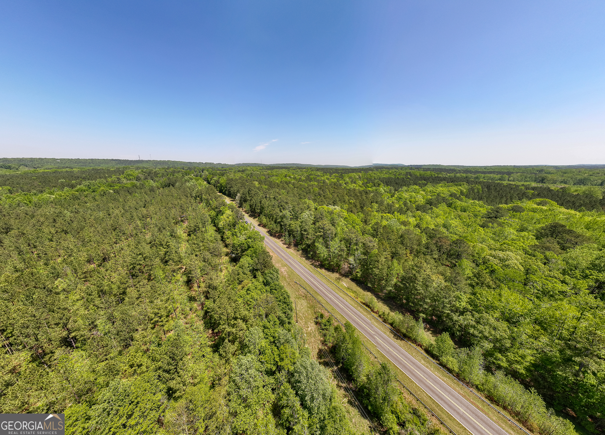 324 Acres Hunsinger Road Shiloh GA 31826