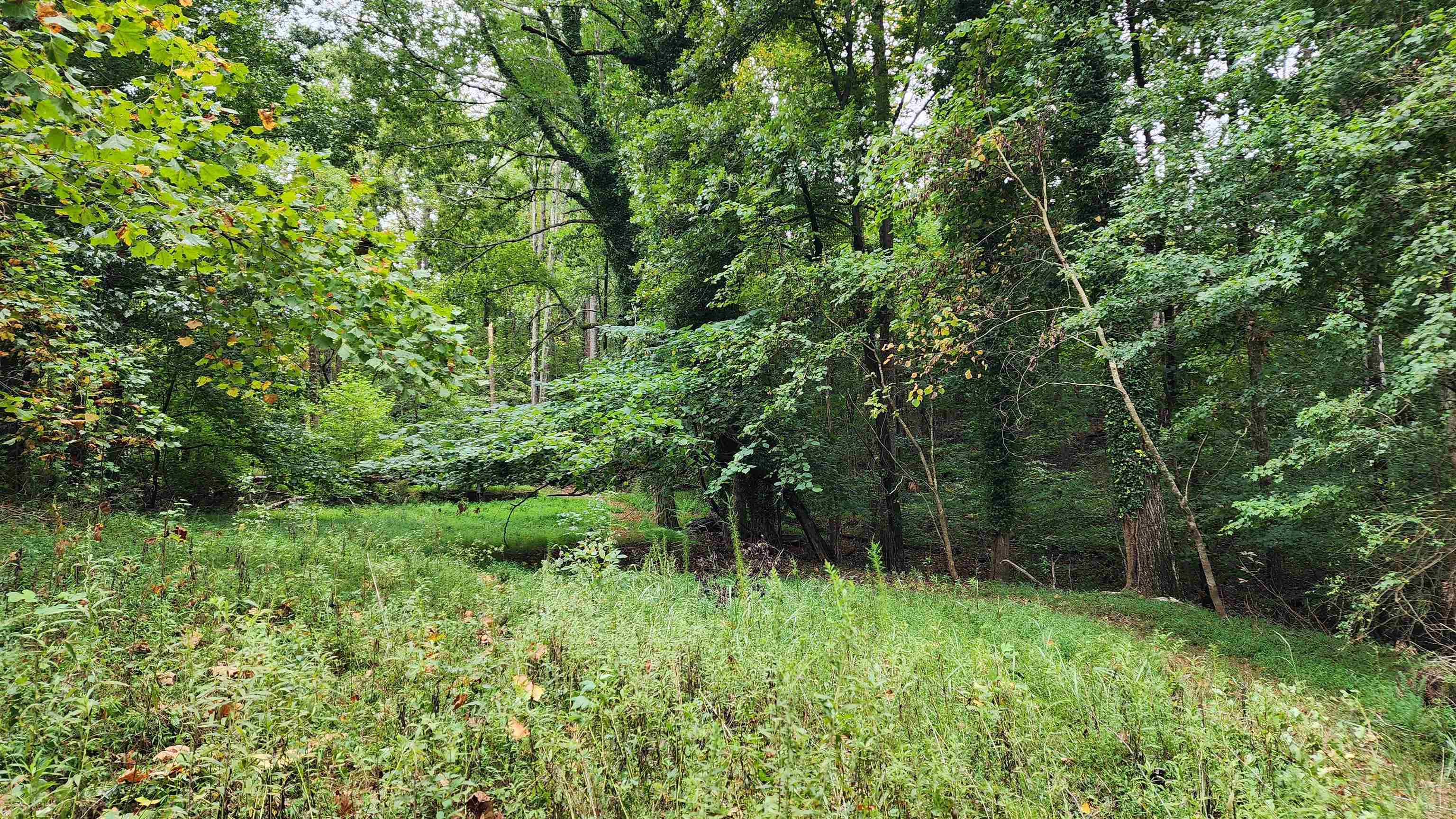 1661 Friendship Road Hoschton GA 30548