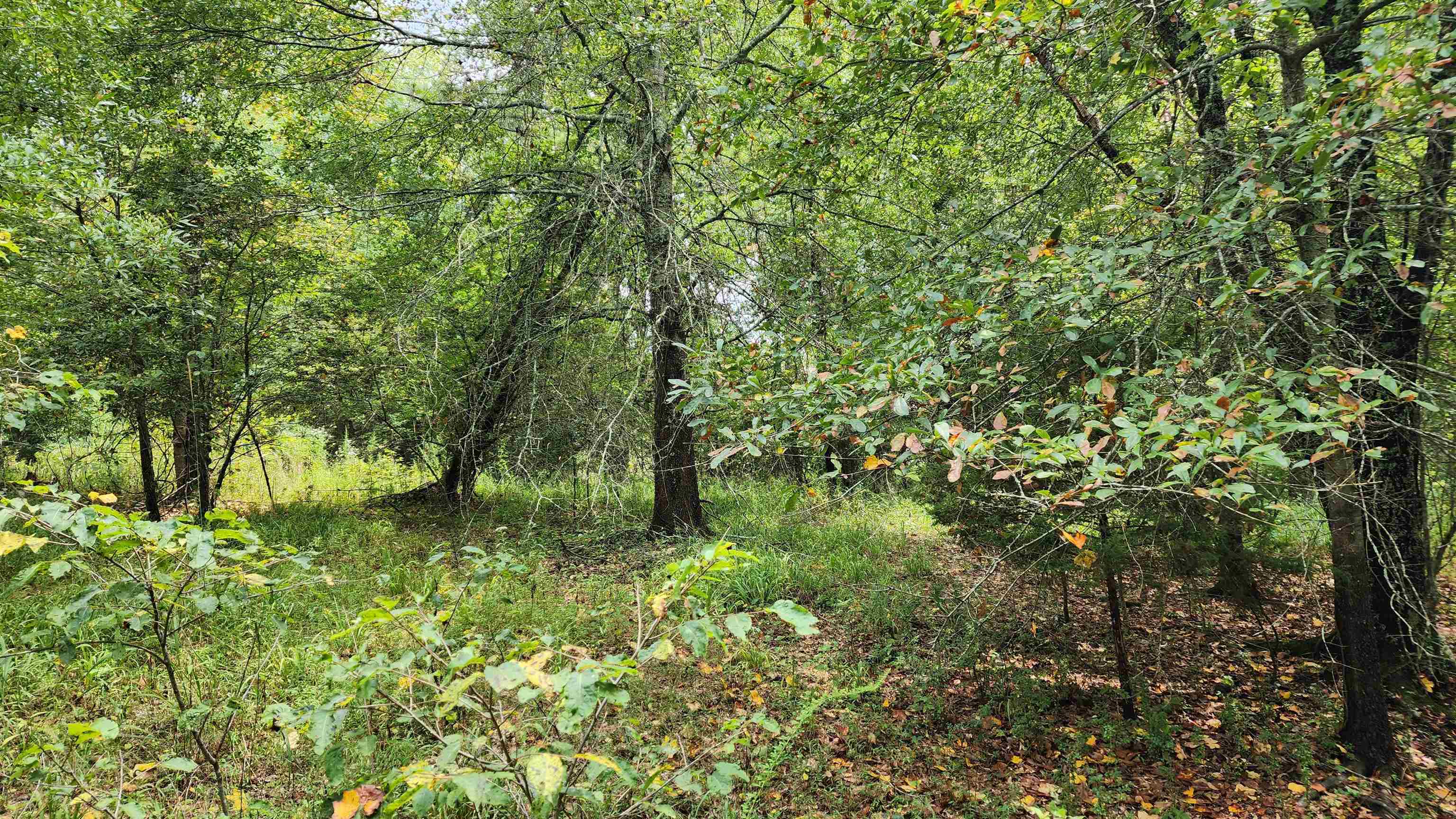 1661 Friendship Road Hoschton GA 30548