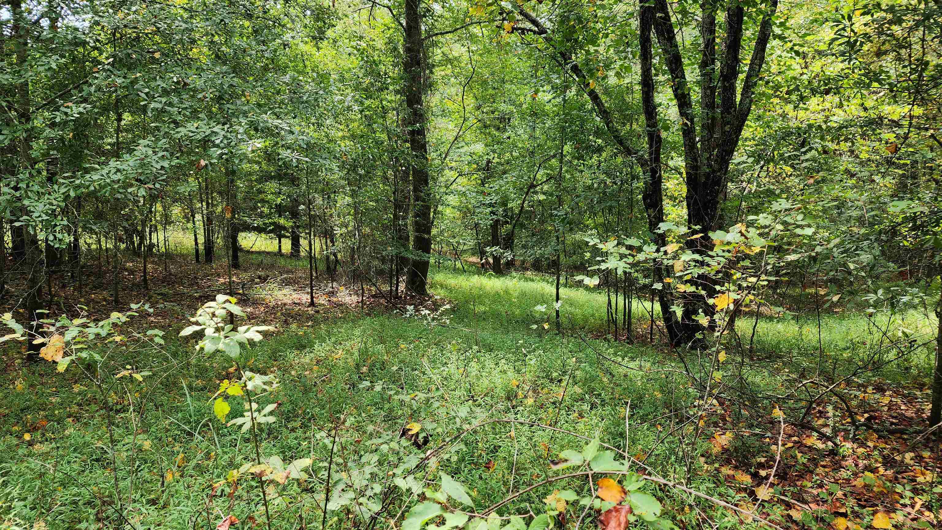 1661 Friendship Road Hoschton GA 30548