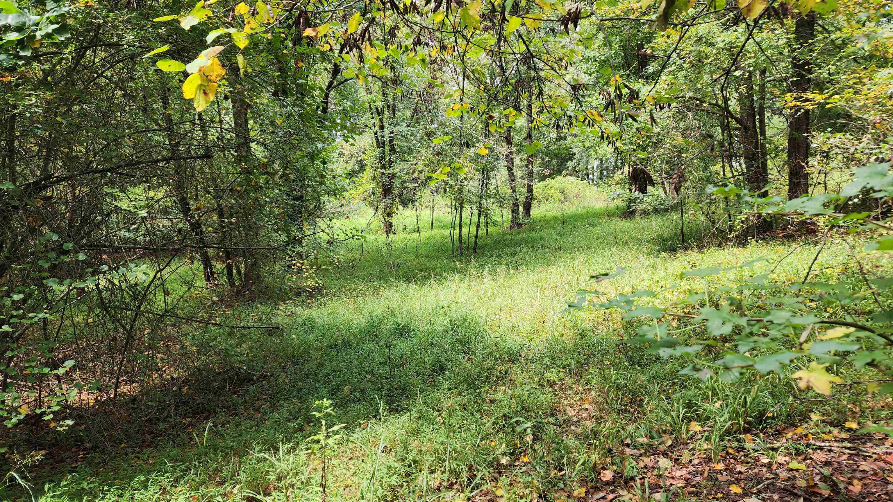1661 Friendship Road Hoschton GA 30548