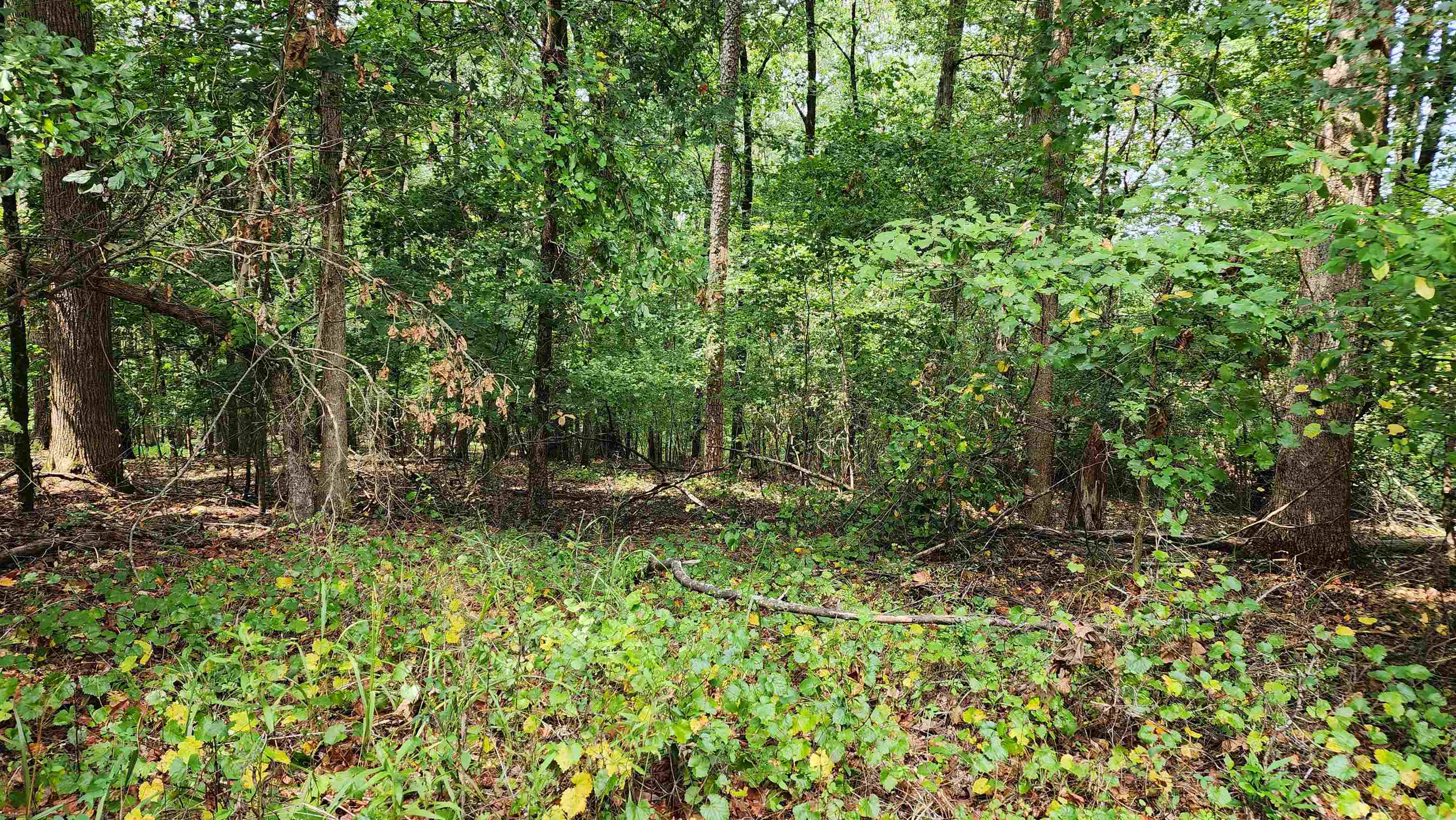 1661 Friendship Road Hoschton GA 30548