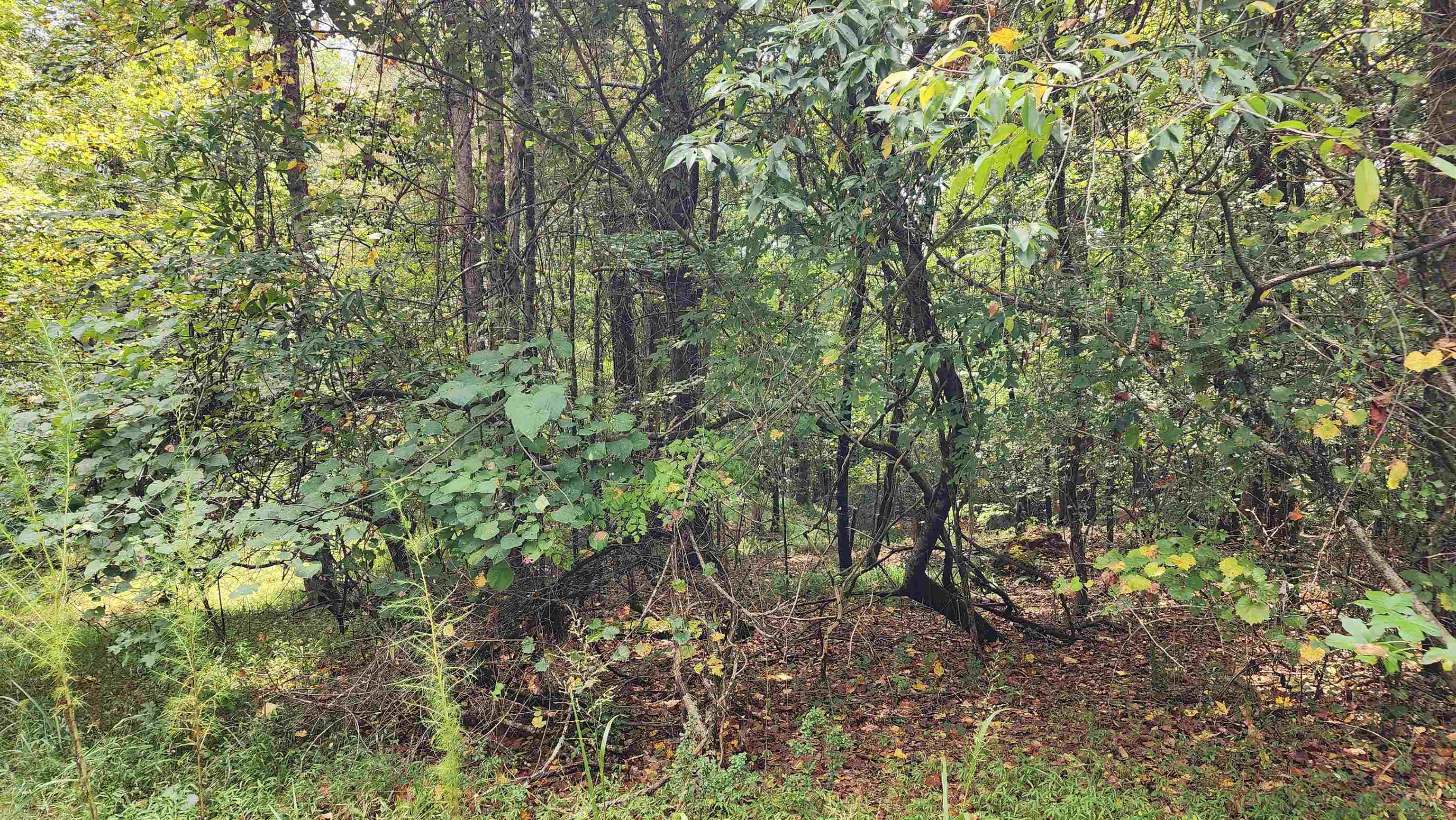 1661 Friendship Road Hoschton GA 30548