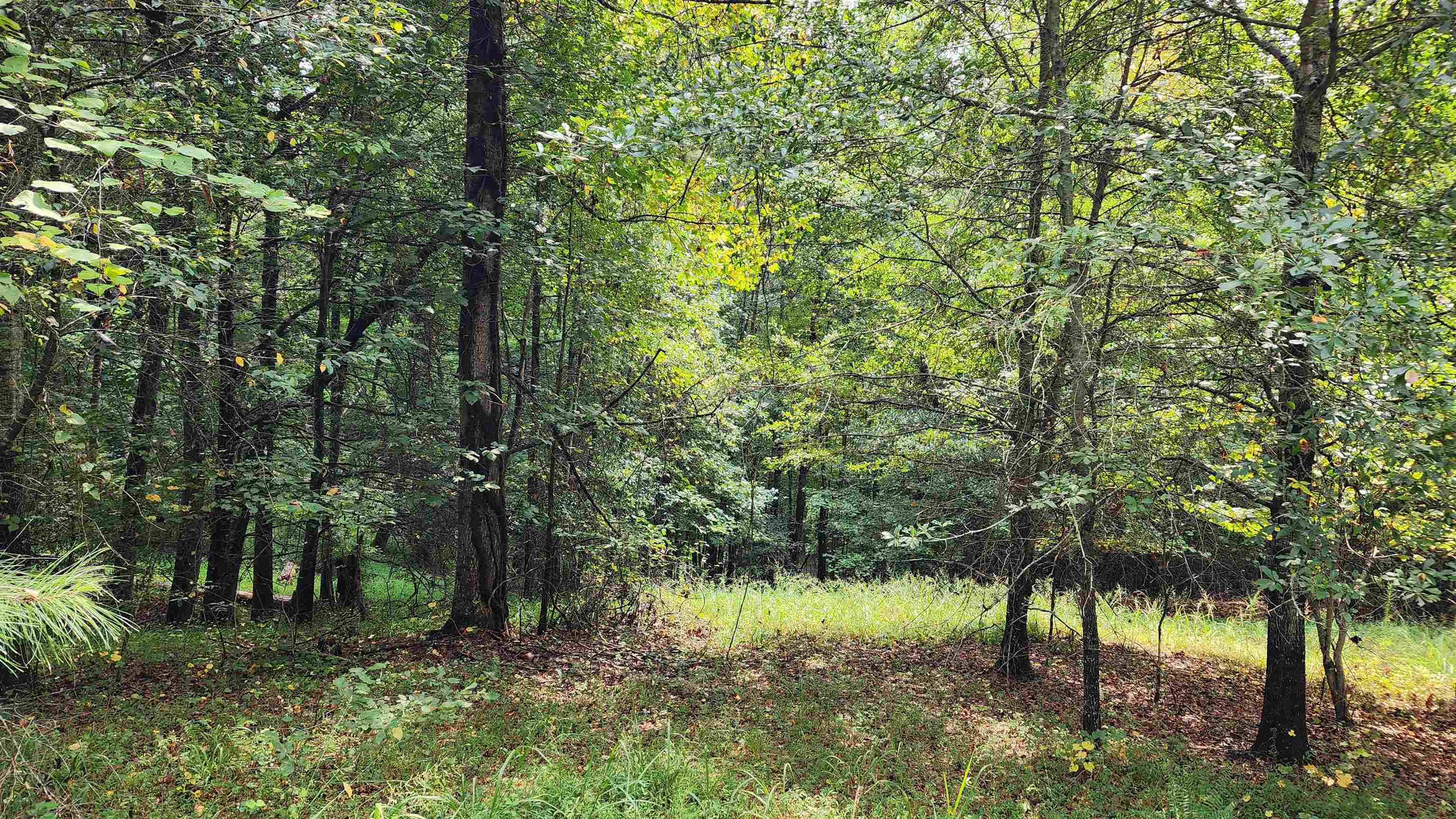 1661 Friendship Road Hoschton GA 30548