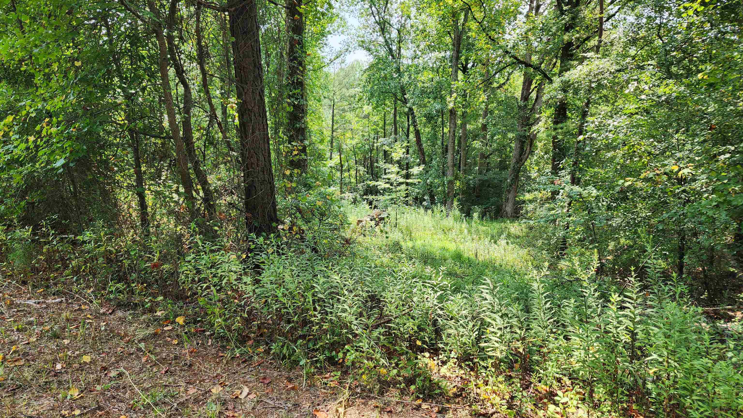 1661 Friendship Road Hoschton GA 30548