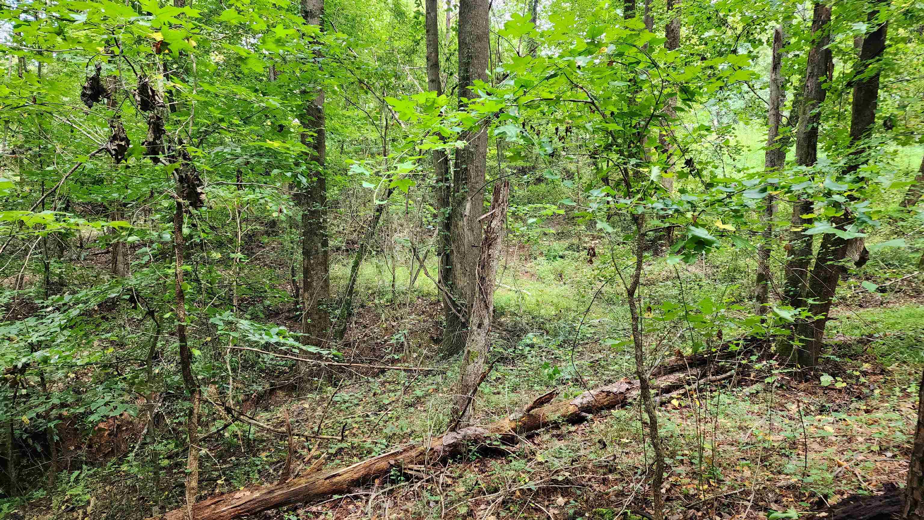 1661 Friendship Road Hoschton GA 30548