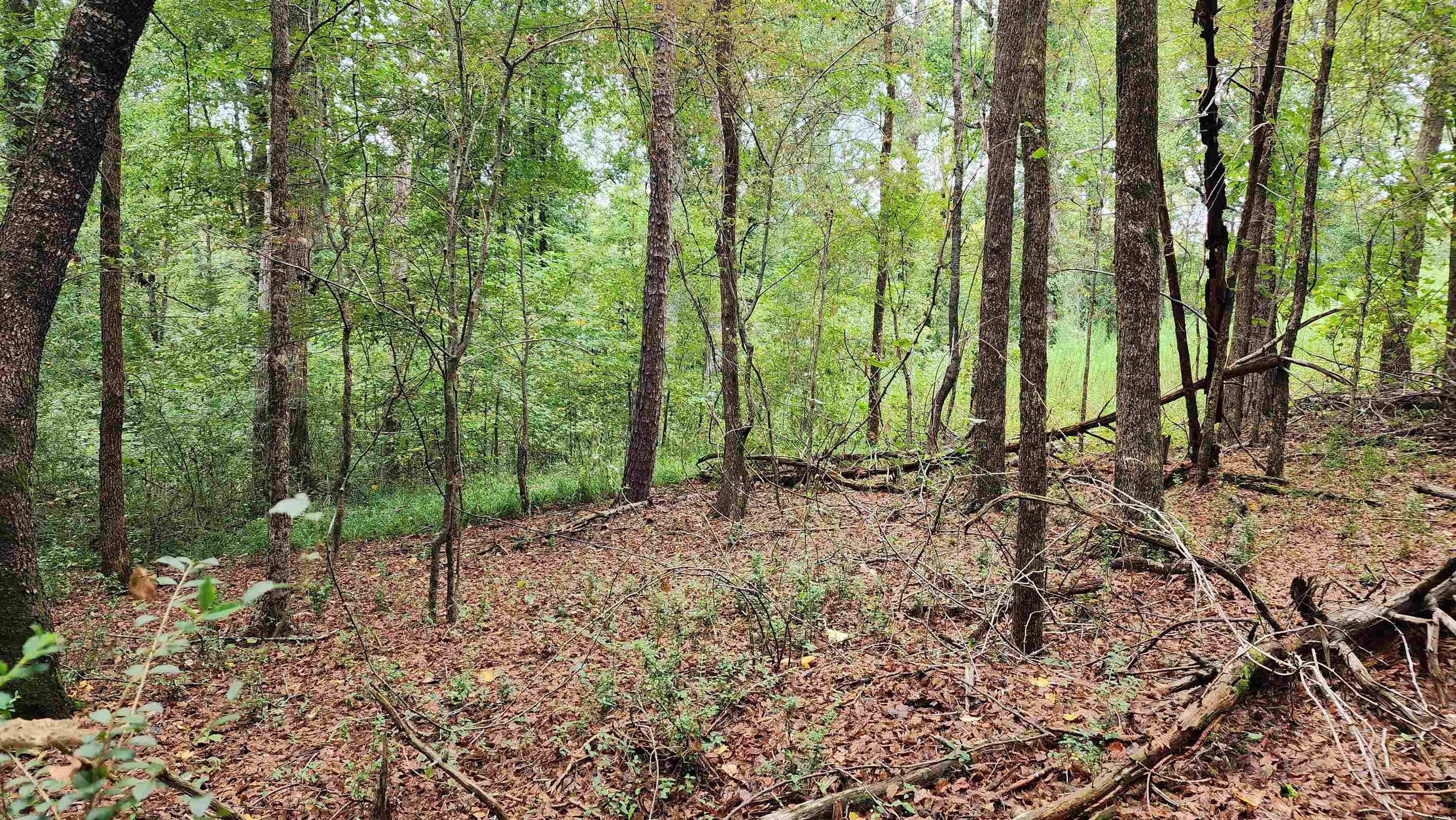 1661 Friendship Road Hoschton GA 30548
