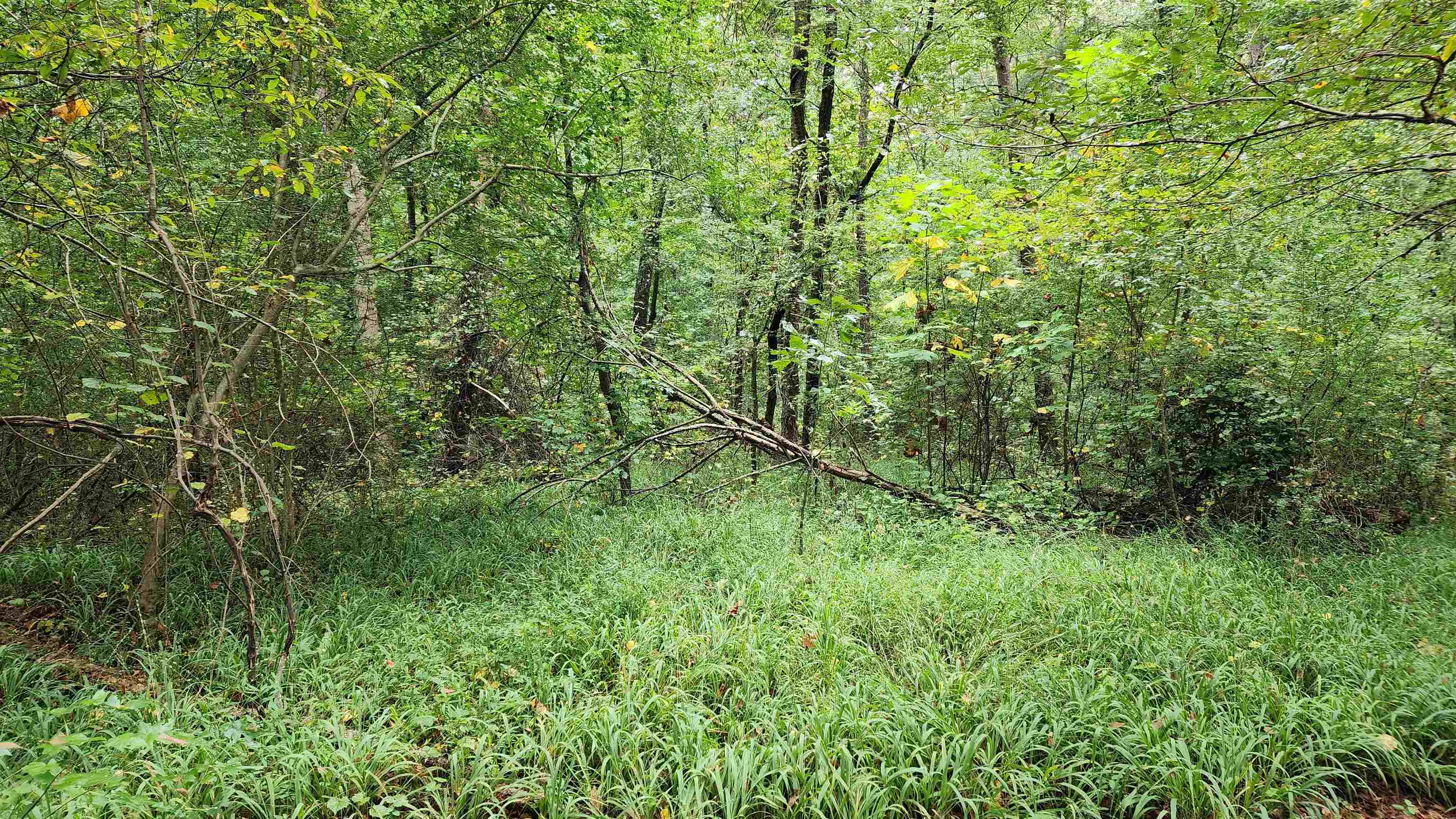 1661 Friendship Road Hoschton GA 30548