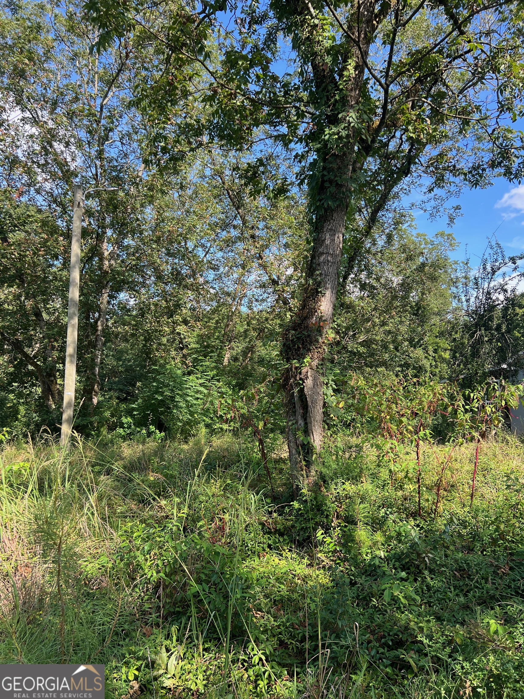 0 North Barnard Avenue Lagrange GA 30241