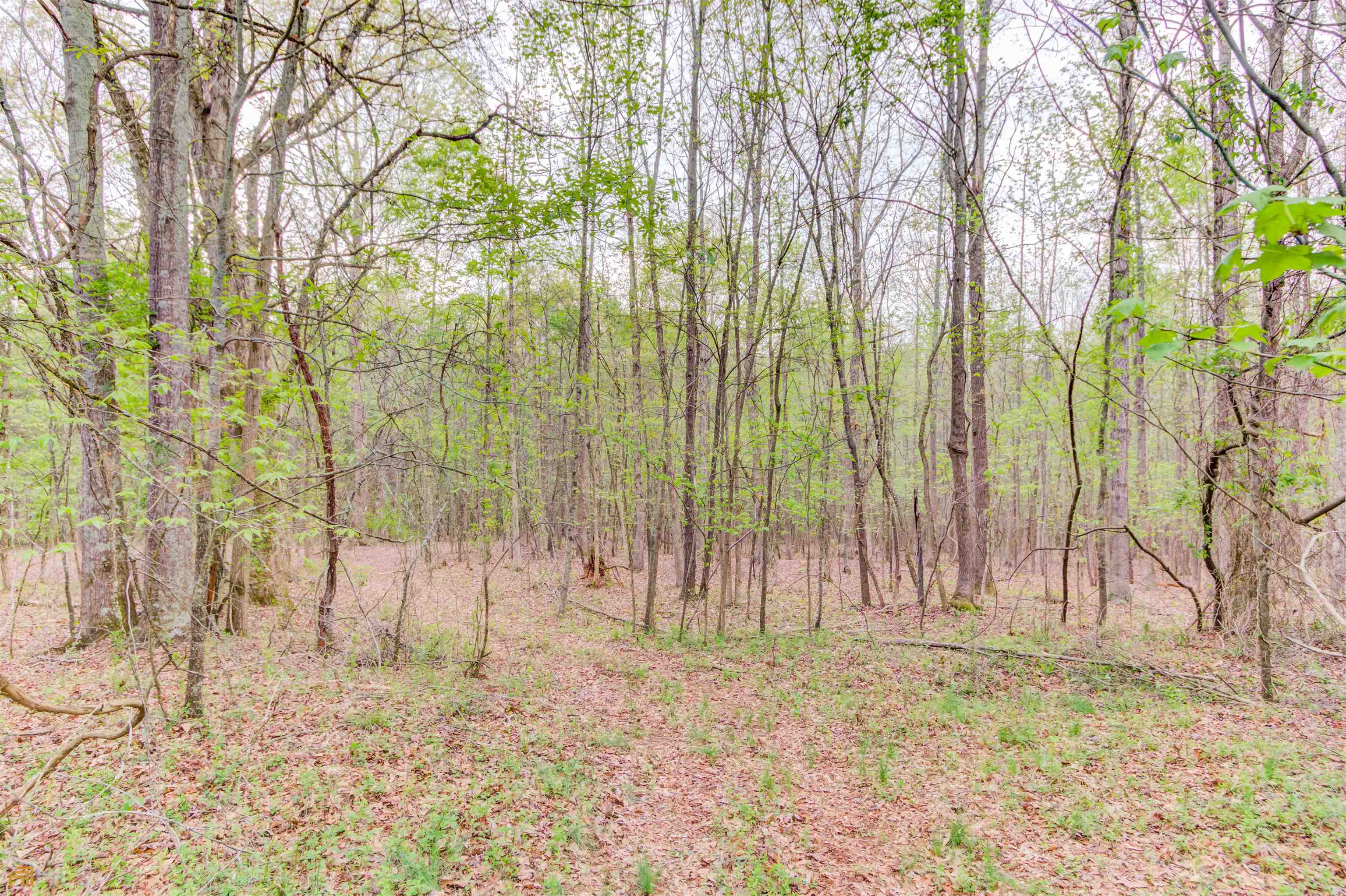 194 Highway 82 S Jefferson GA 30549