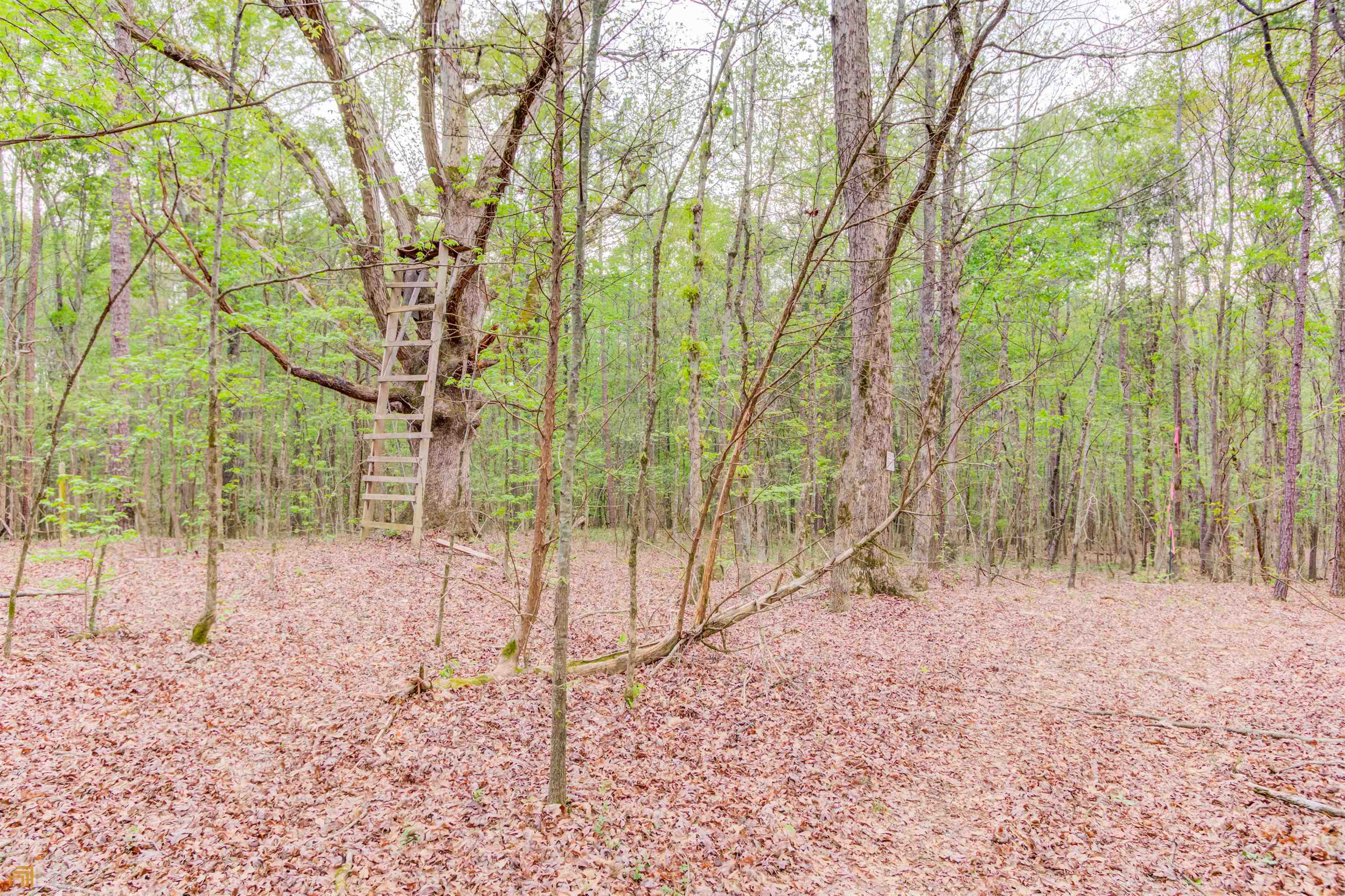 194 Highway 82 S Jefferson GA 30549