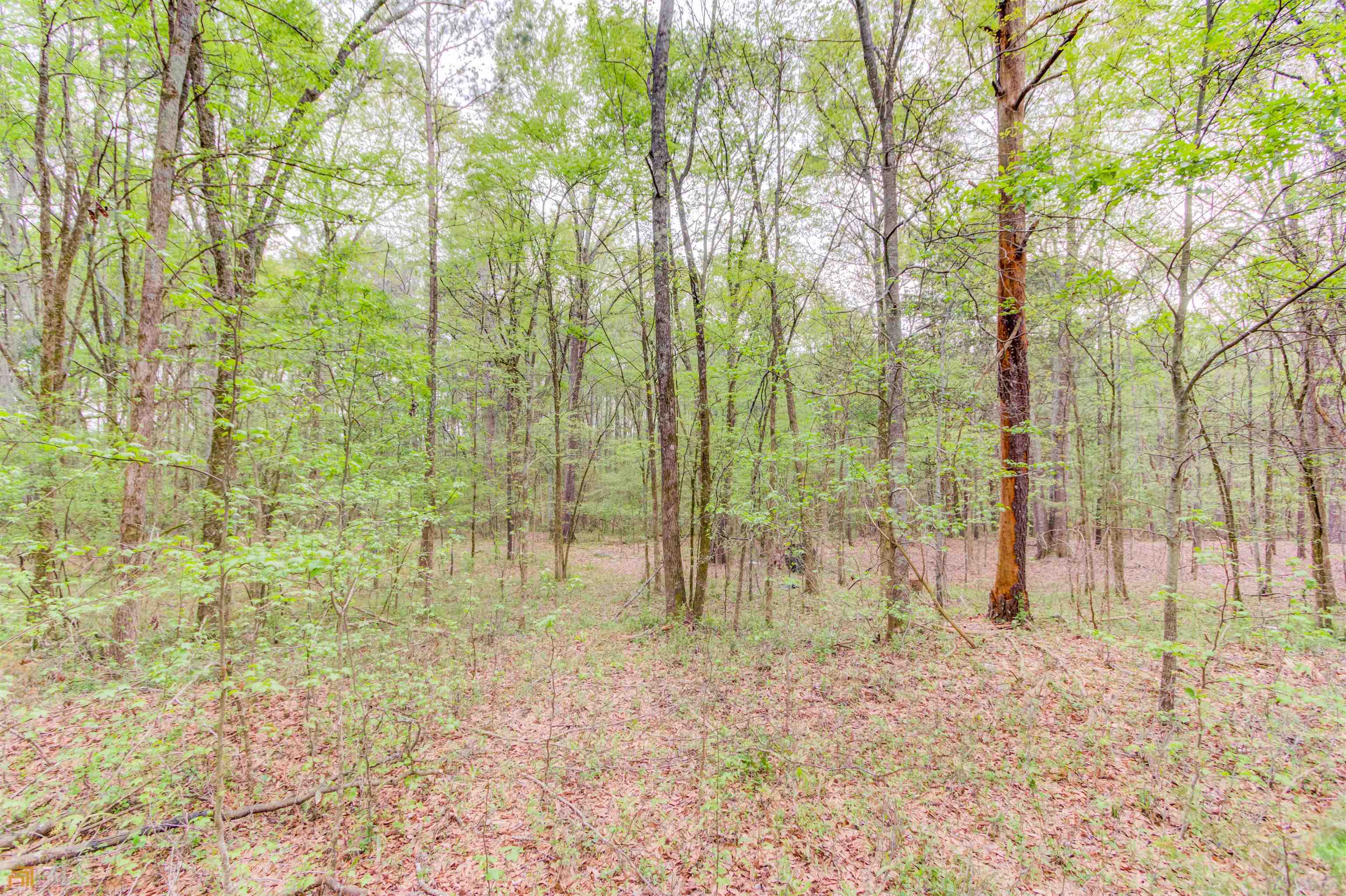 194 Highway 82 S Jefferson GA 30549