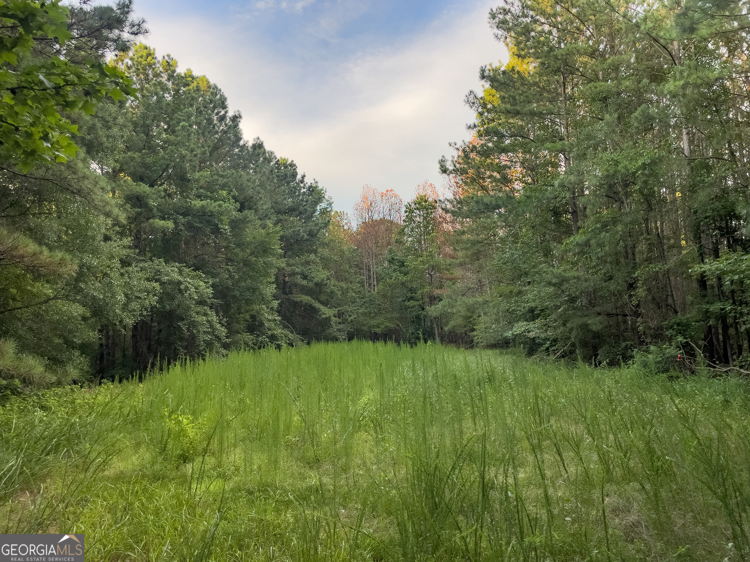 0 Caney Head Road Roopville GA 30170