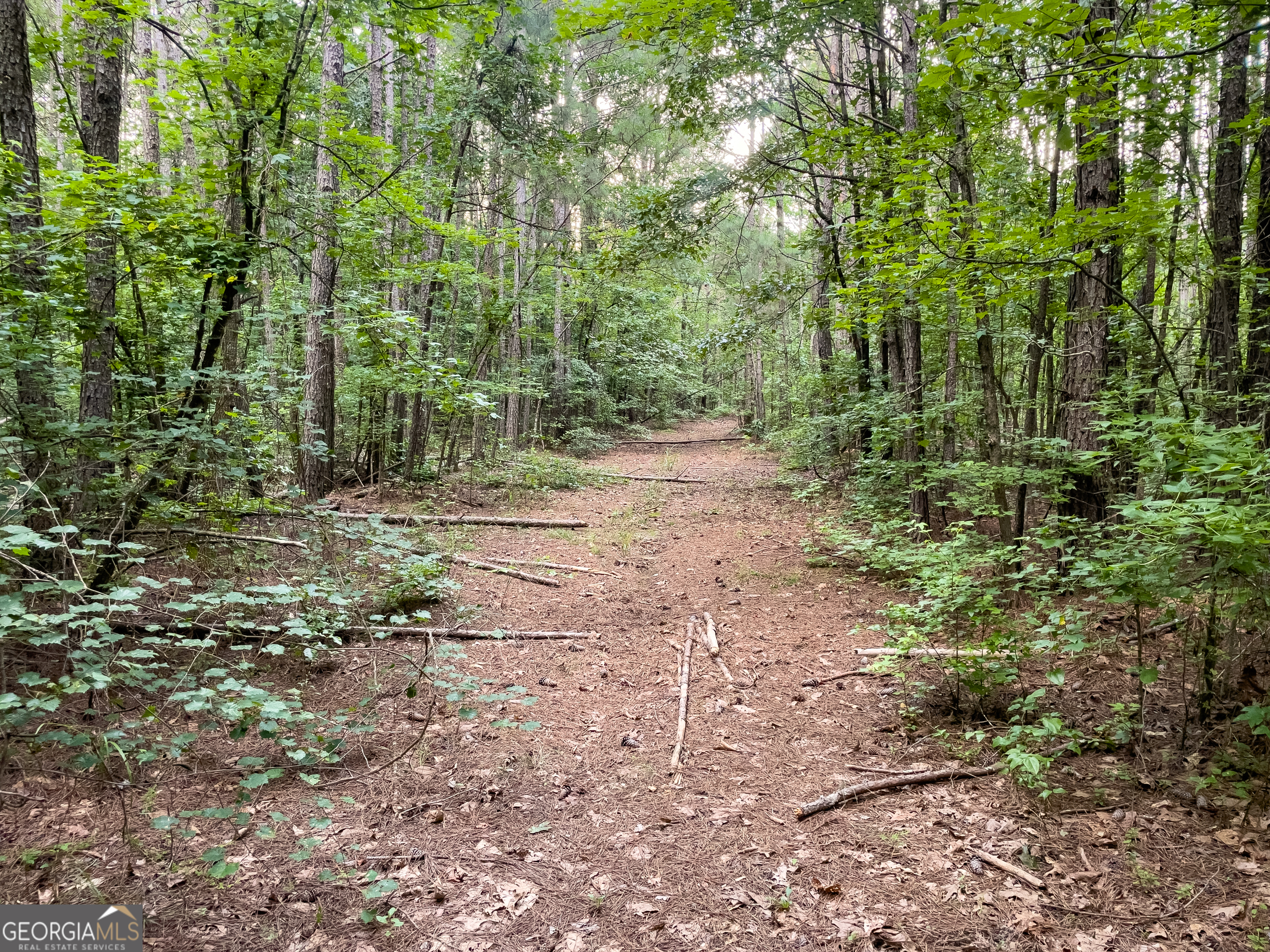 0 Caney Head Road Roopville GA 30170