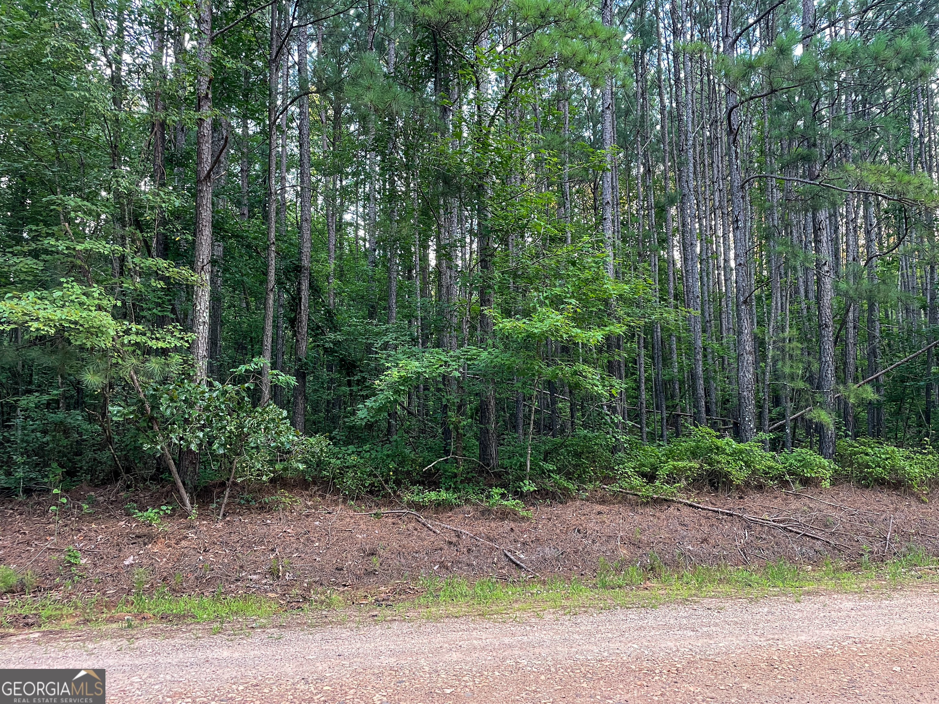 0 Caney Head Road Roopville GA 30170