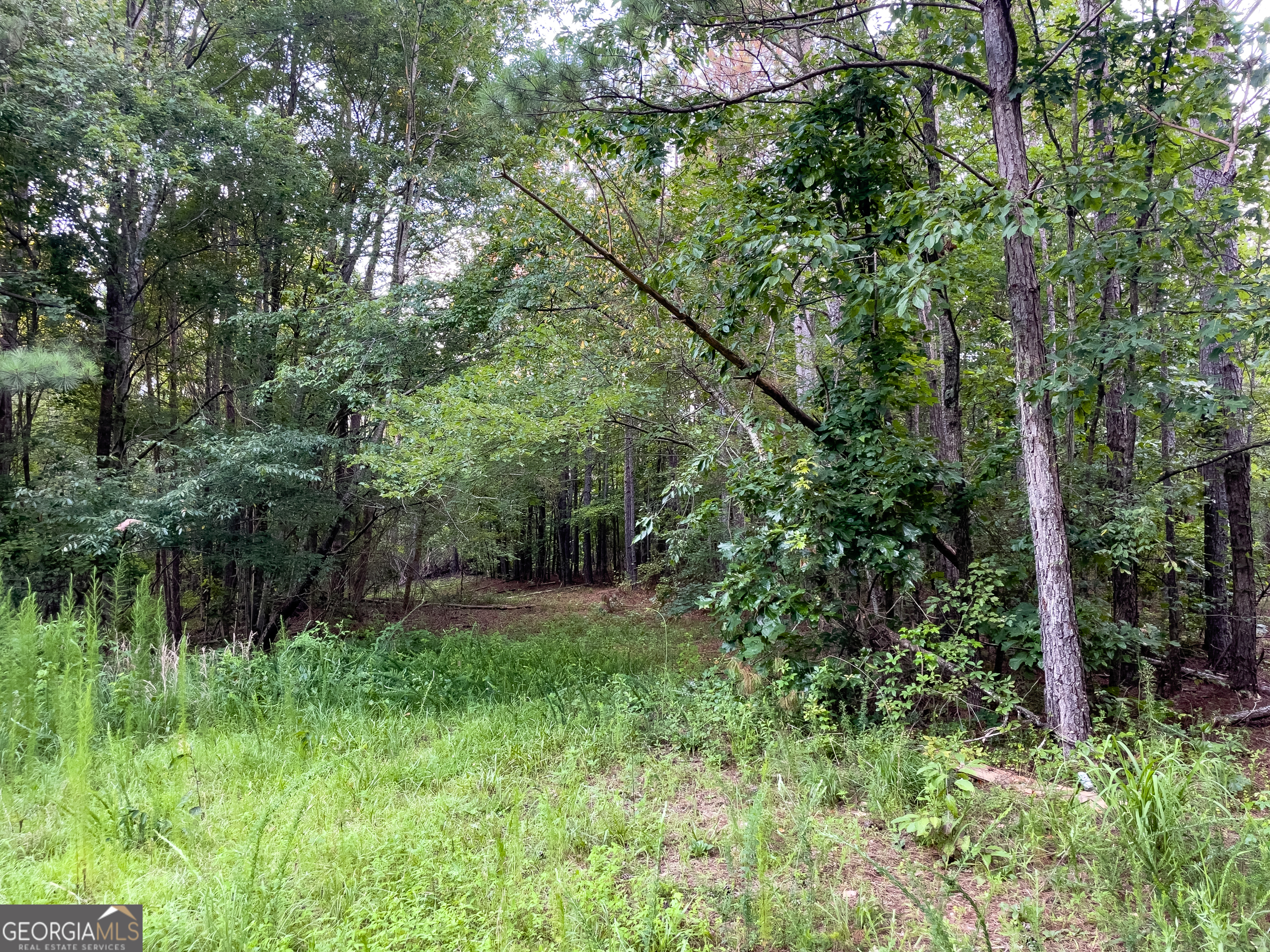 0 Caney Head Road Roopville GA 30170