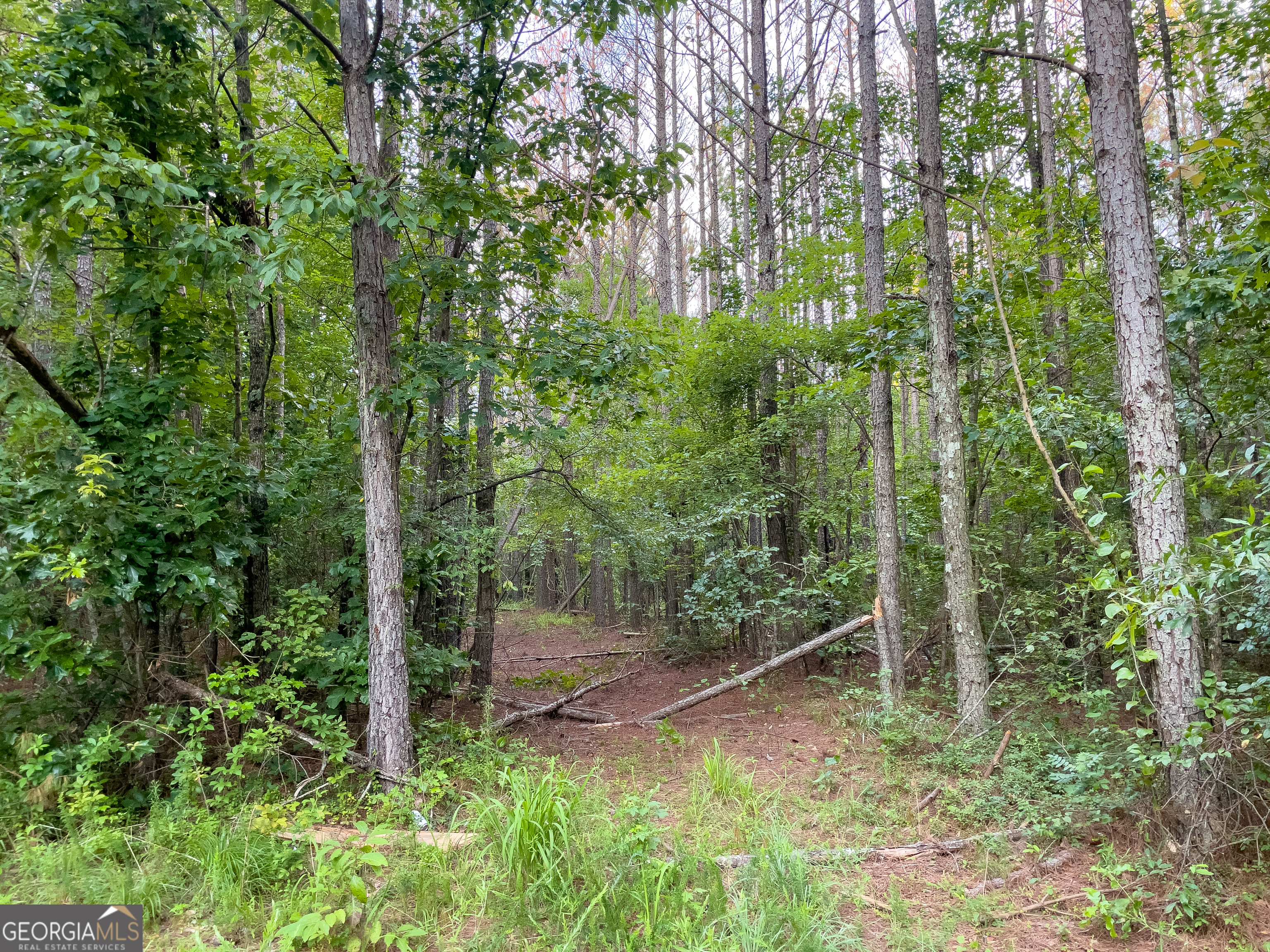 0 Caney Head Road Roopville GA 30170