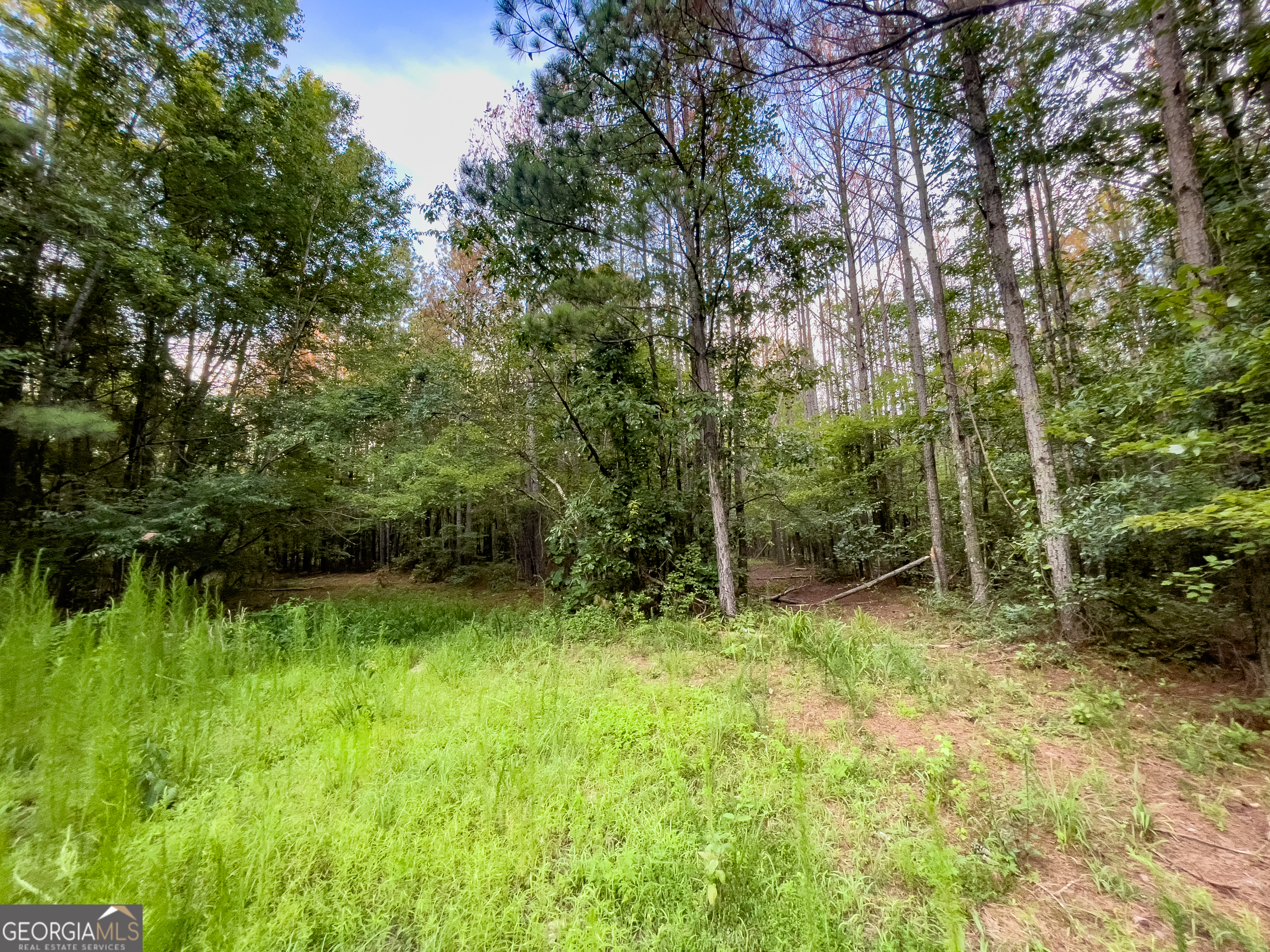 0 Caney Head Road Roopville GA 30170