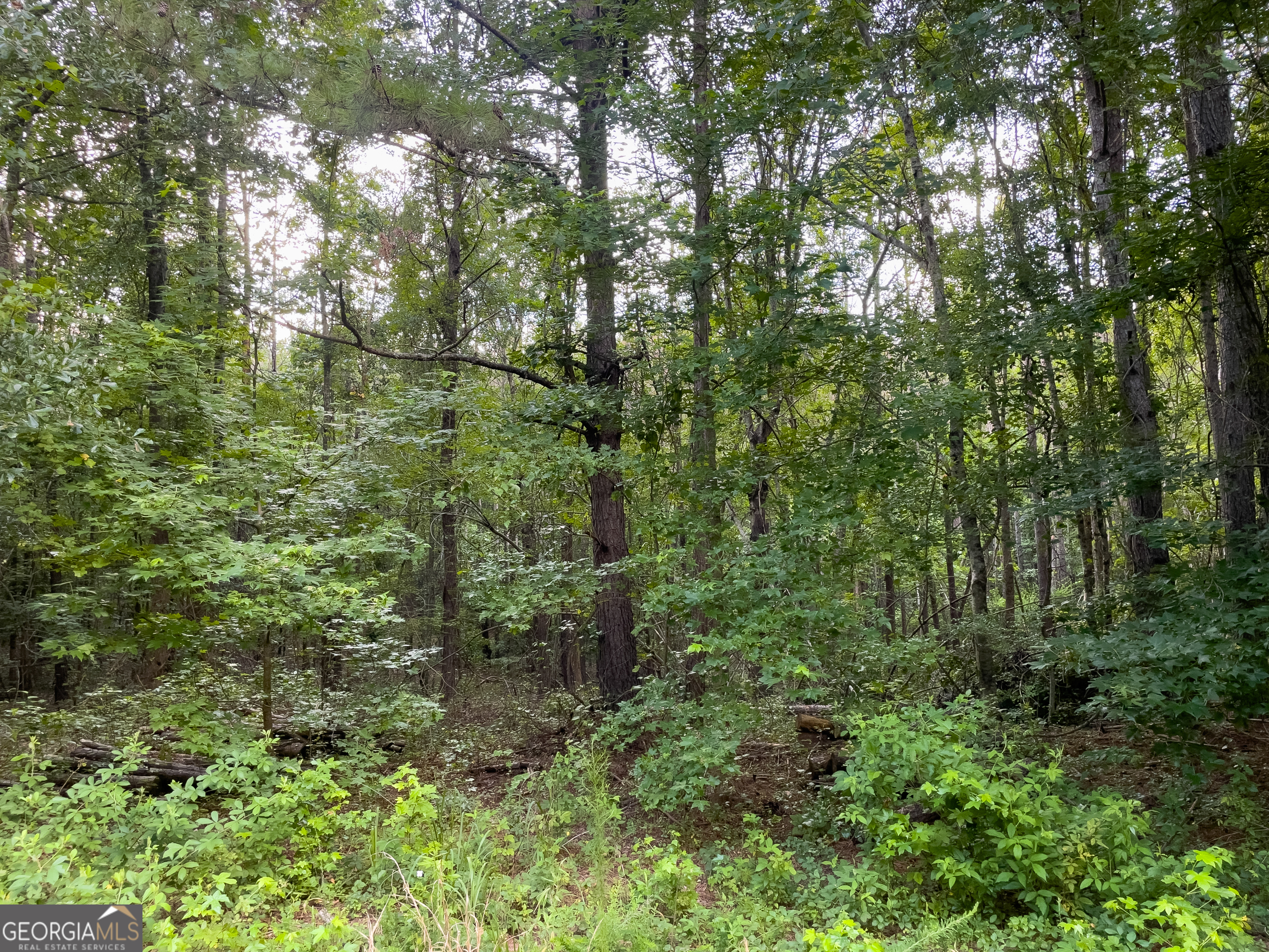 0 Caney Head Road Roopville GA 30170