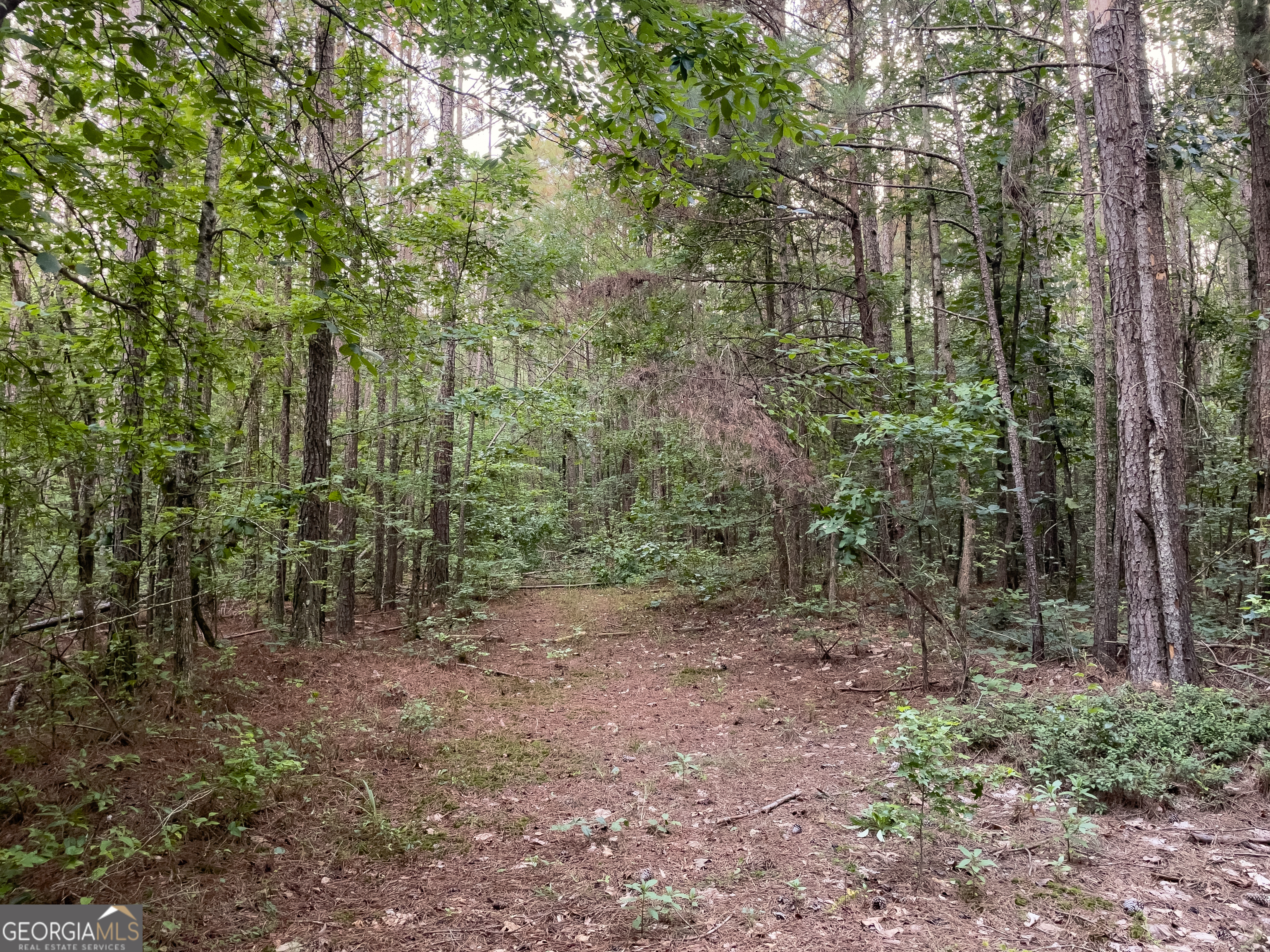 0 Caney Head Road Roopville GA 30170