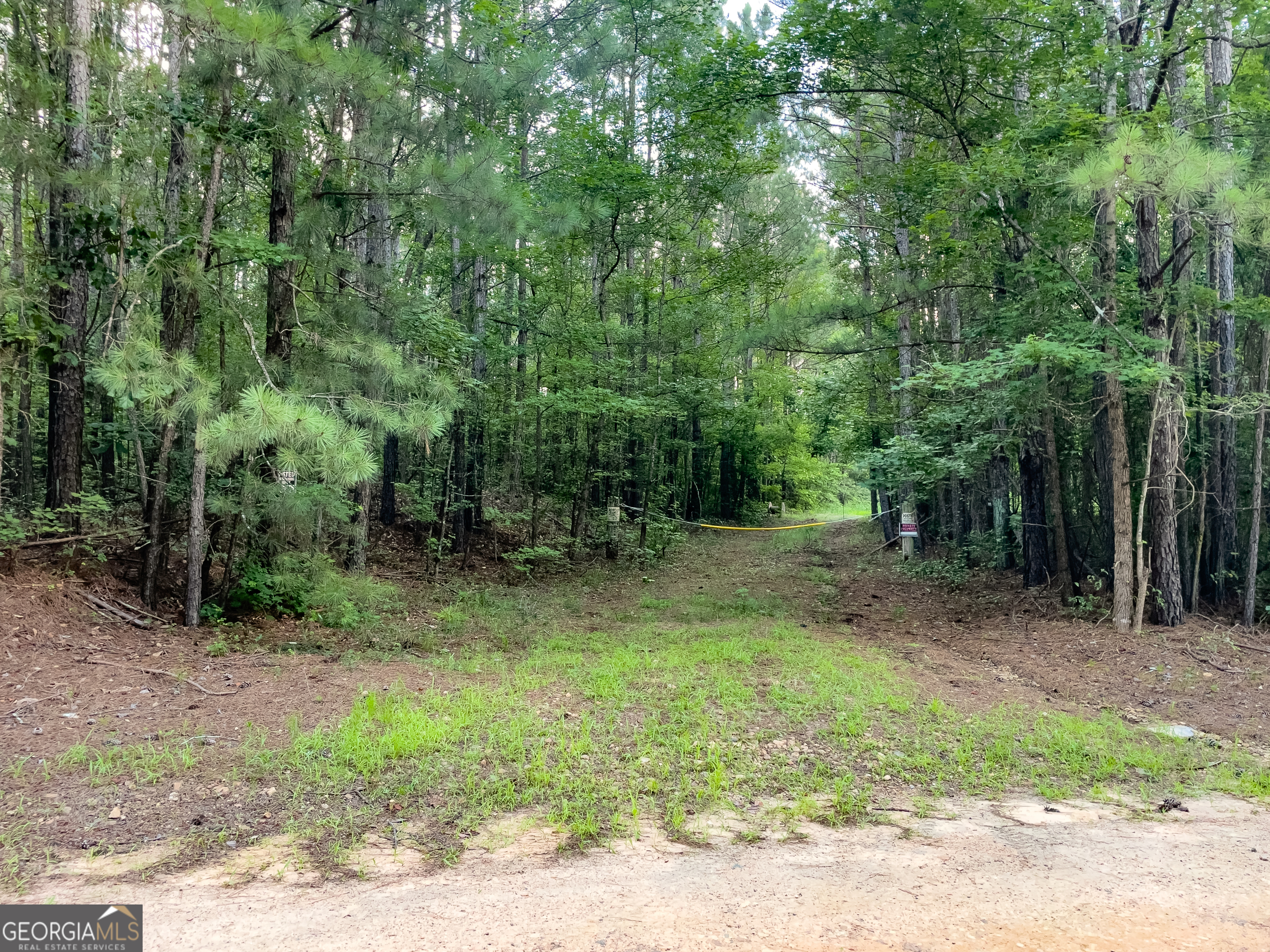 0 Caney Head Road Roopville GA 30170