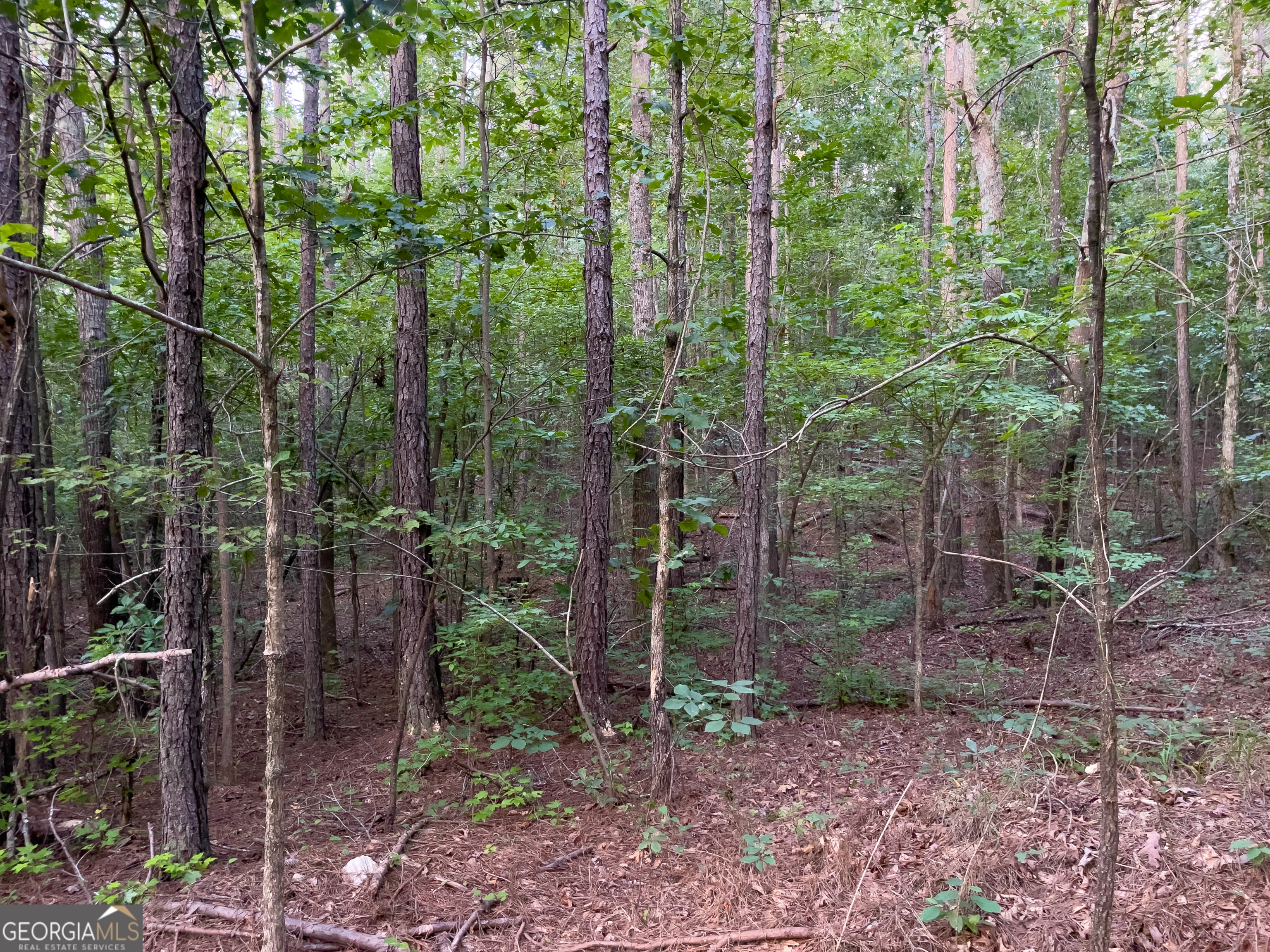 0 Caney Head Road Roopville GA 30170