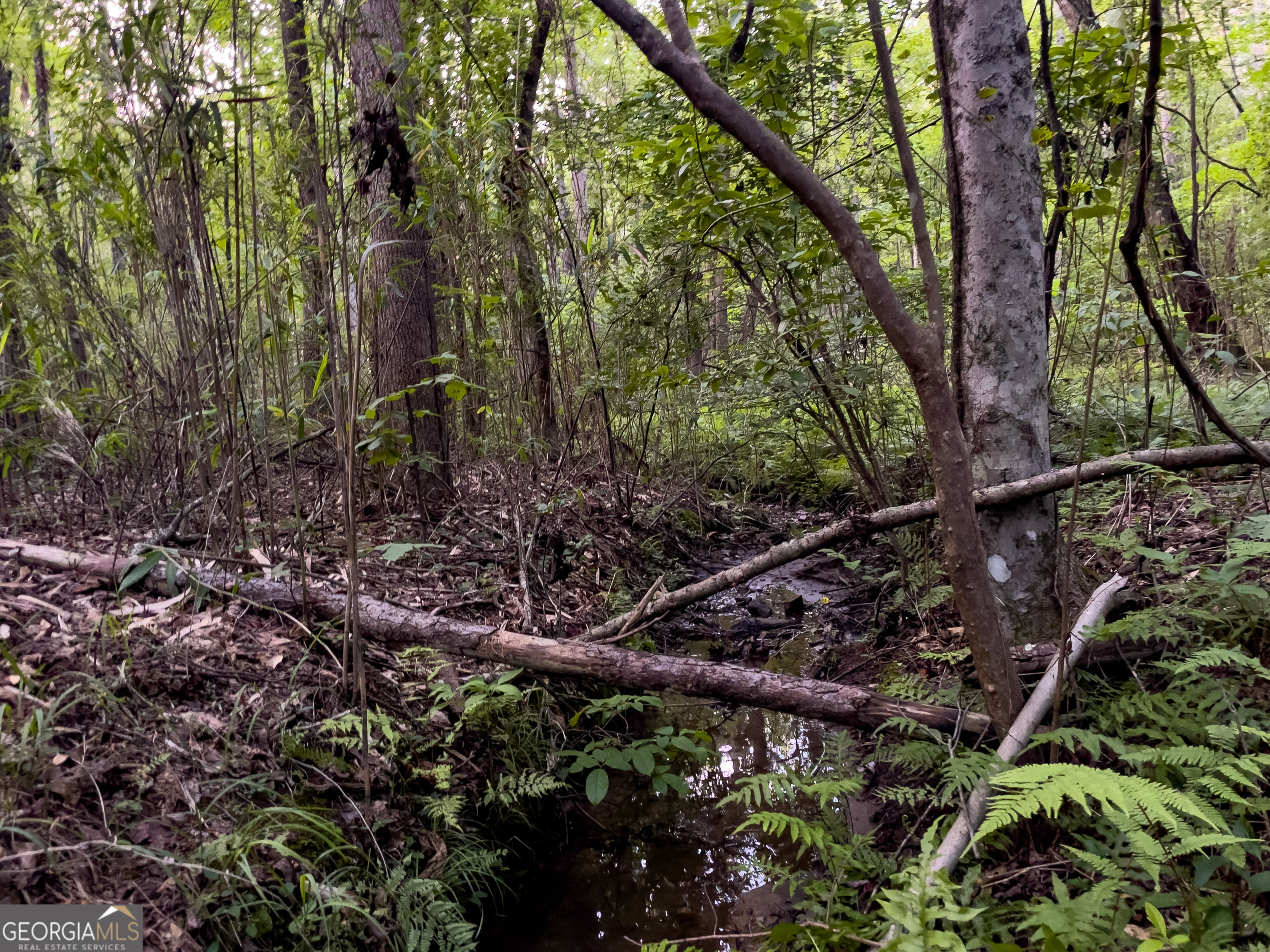 0 Caney Head Road Roopville GA 30170