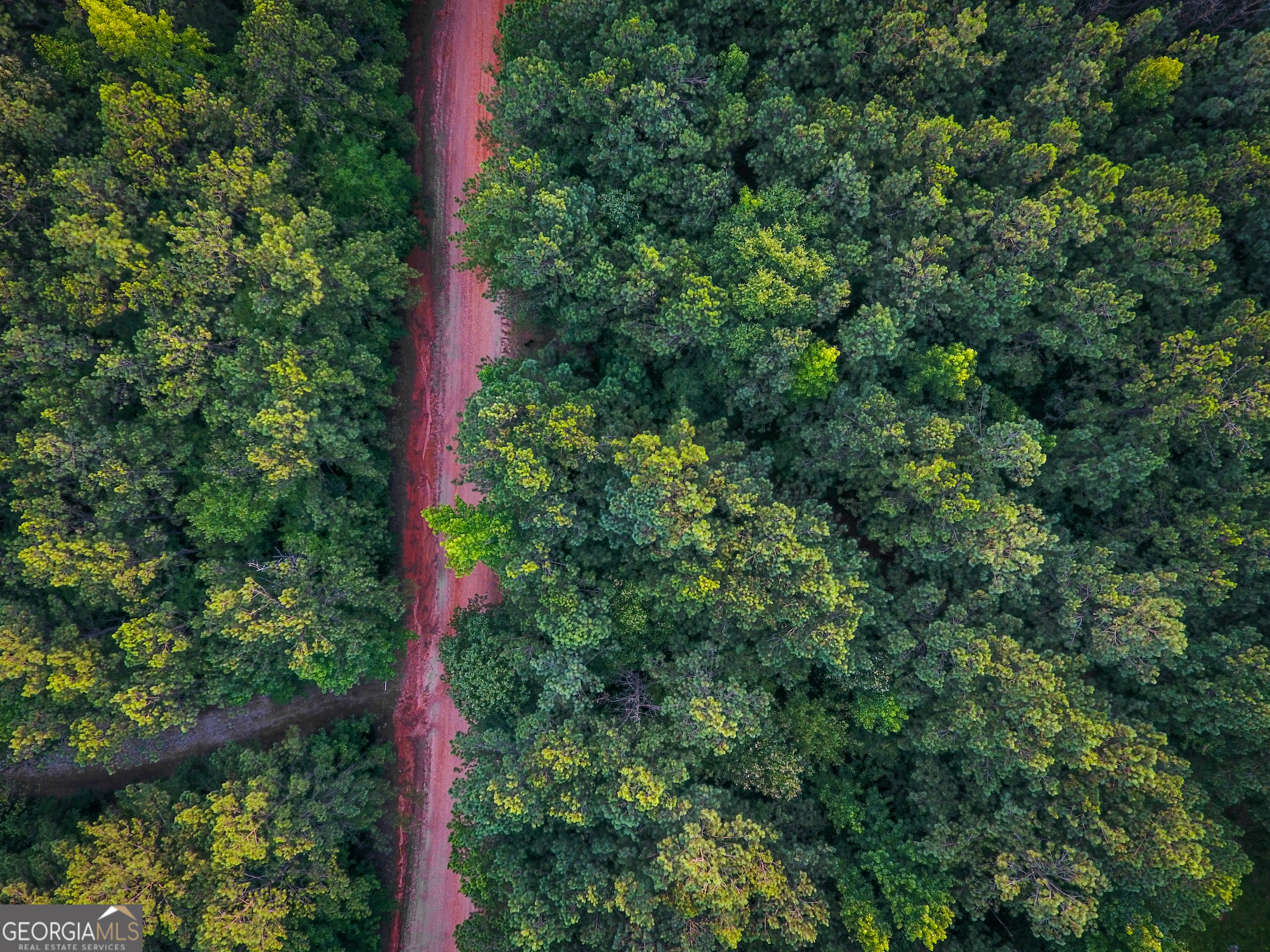 0 Caney Head Road Roopville GA 30170