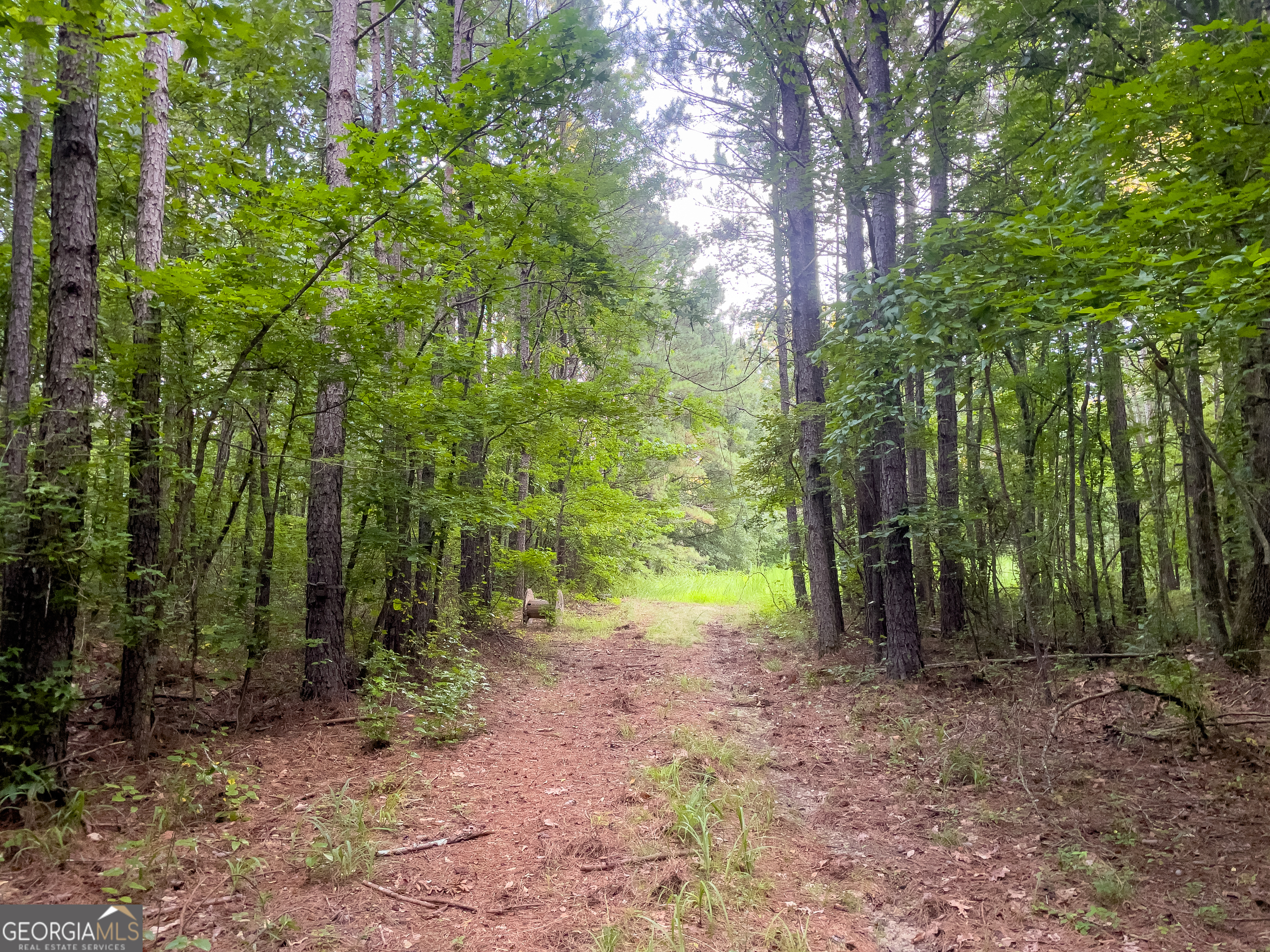 0 Caney Head Road Roopville GA 30170