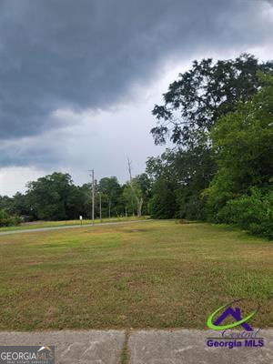 0 Progressive Avenue Hawkinsville GA 31036
