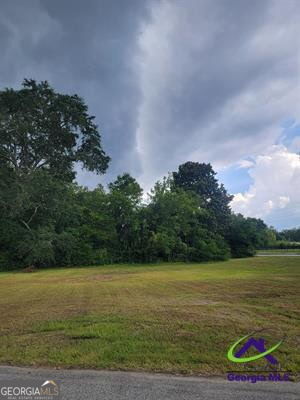 0 Progressive Avenue Hawkinsville GA 31036