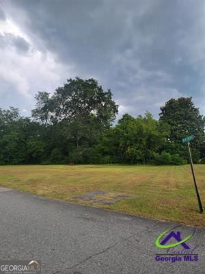 0 Progressive Avenue Hawkinsville GA 31036