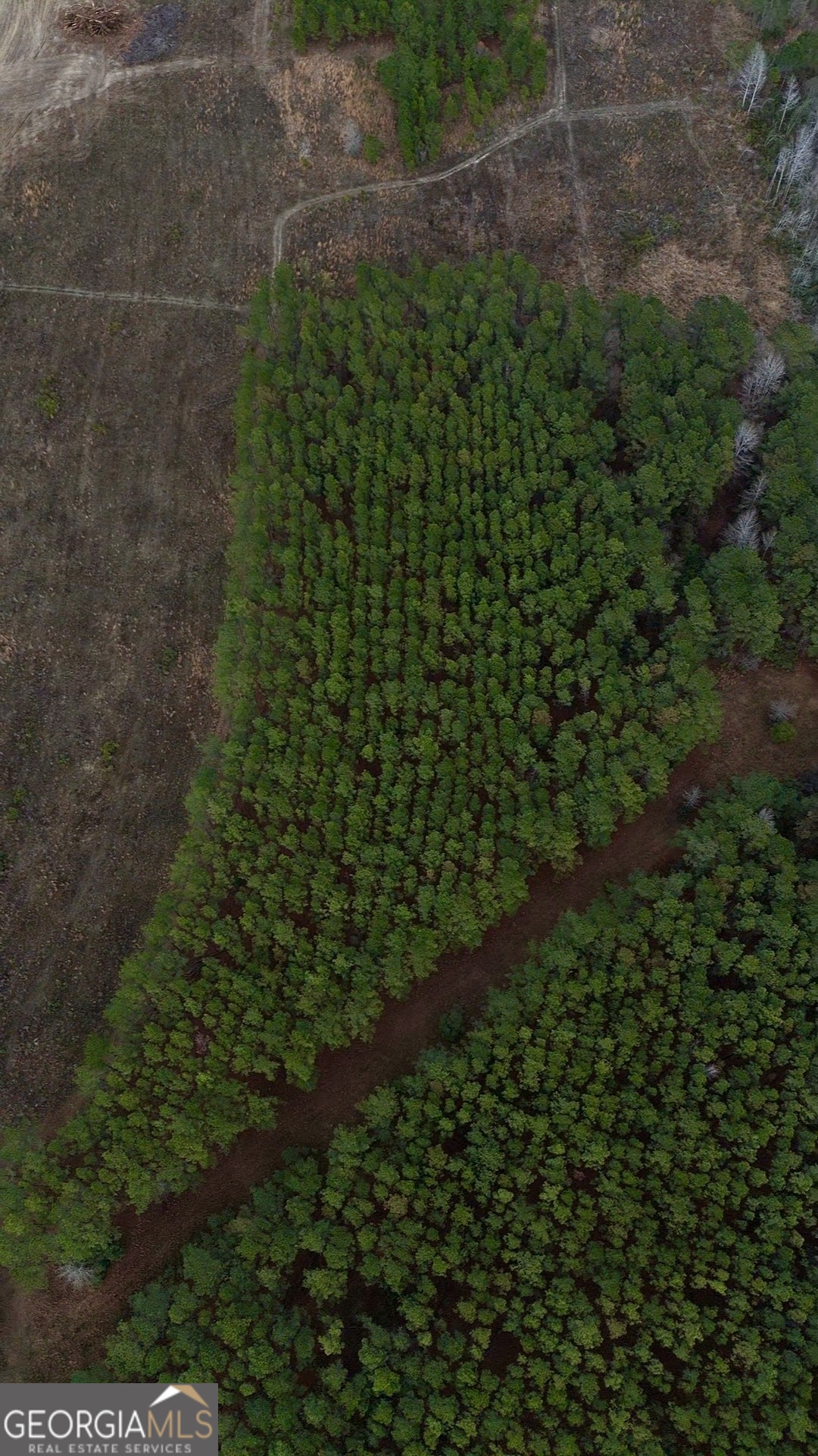 0 Harmony Lane Lot 10 Milan GA 31060