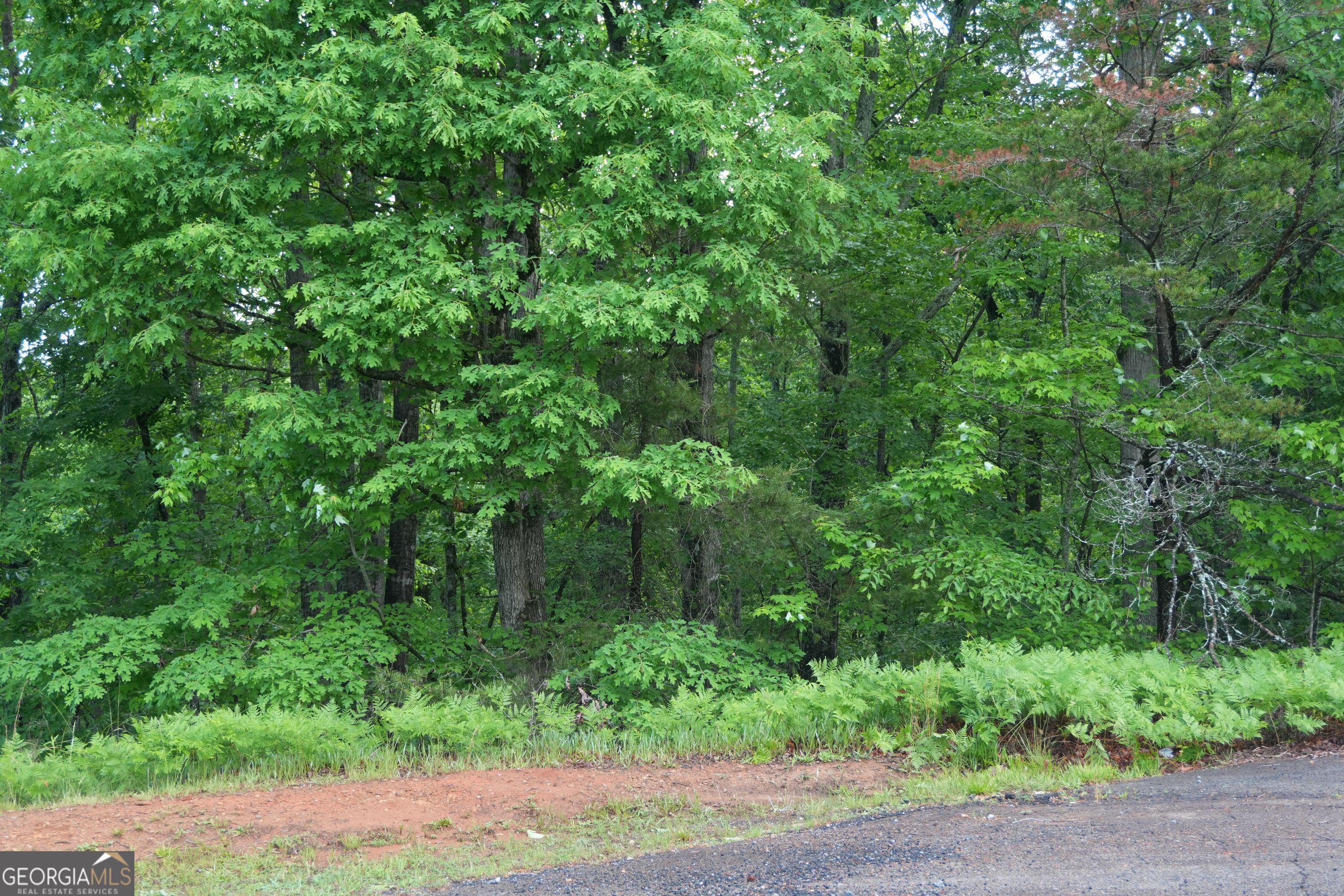 3712 Clubhouse Drive Gainesville GA 30501