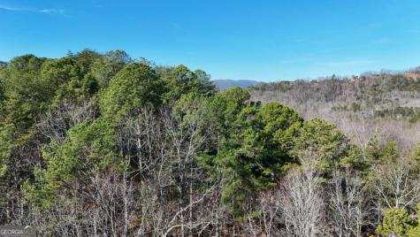 Lot 1 Gold Valley Road Sautee Nacoochee GA 30571