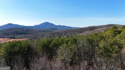 Lot 1 Gold Valley Road Sautee Nacoochee GA 30571