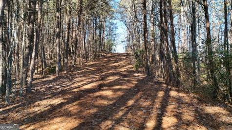 Lot 1 Gold Valley Road Sautee Nacoochee GA 30571
