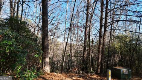 Lot 1 Gold Valley Road Sautee Nacoochee GA 30571