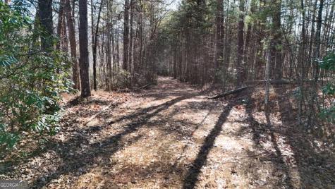 Lot 1 Gold Valley Road Sautee Nacoochee GA 30571