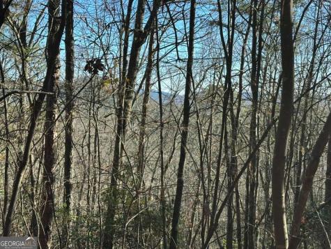 Lot 1 Gold Valley Road Sautee Nacoochee GA 30571