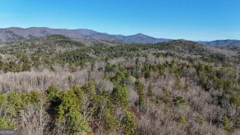 Lot 1 Gold Valley Road Sautee Nacoochee GA 30571