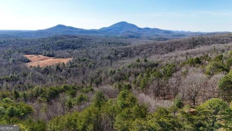 Lot 1 Gold Valley Road Sautee Nacoochee GA 30571