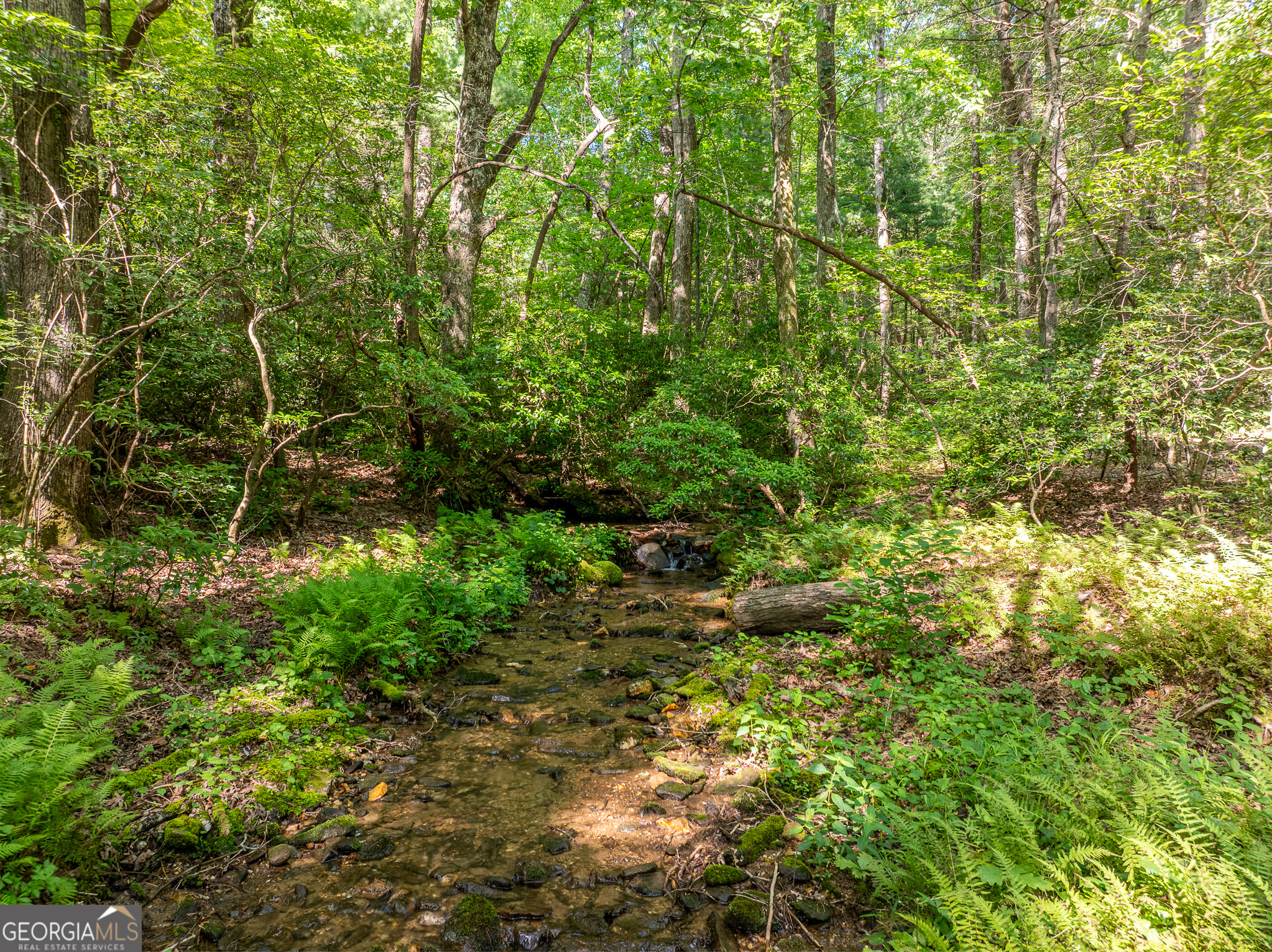 1298 Cold Stream Trail Jasper GA 30143